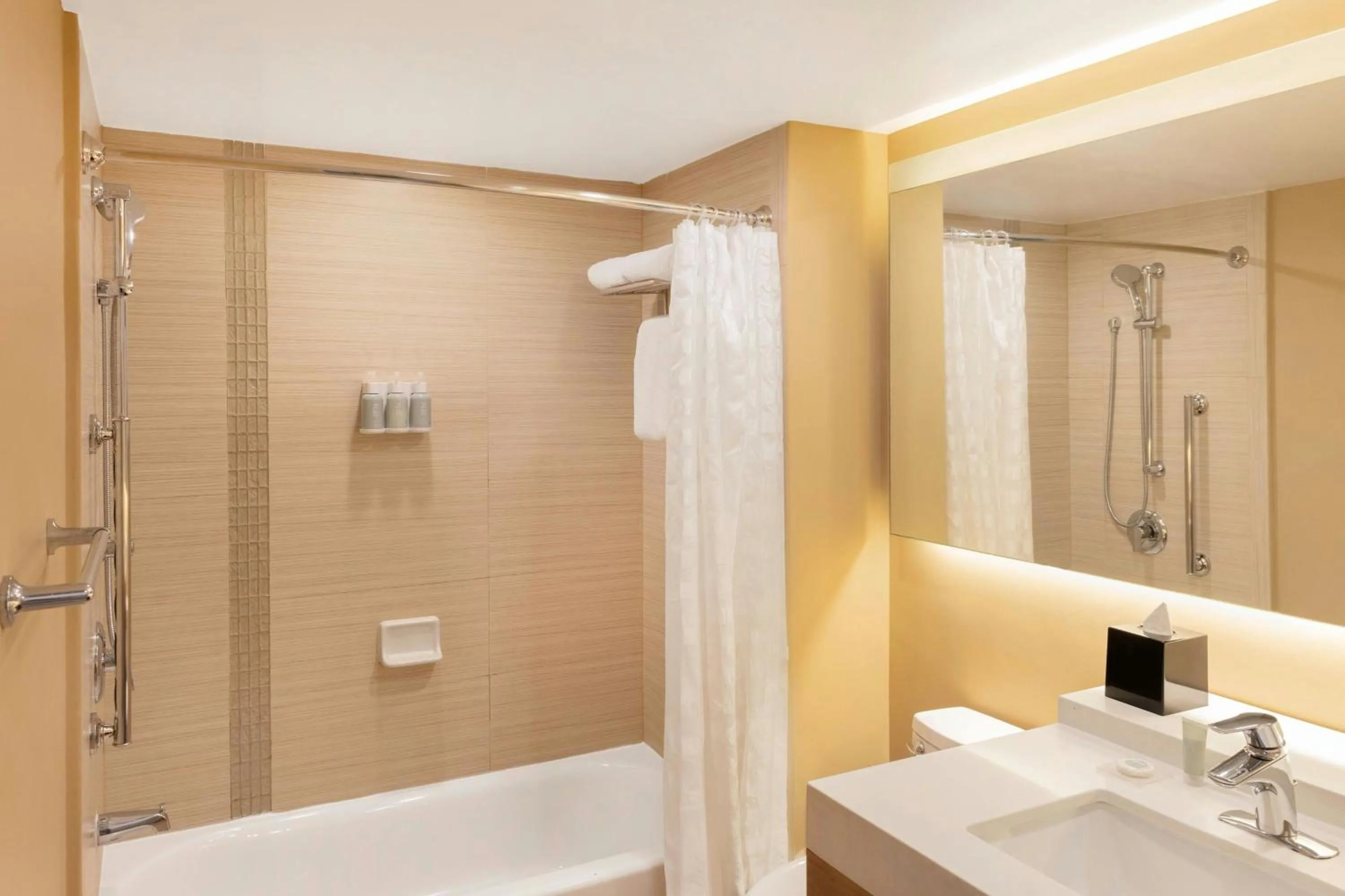 Bathroom in Hyatt Place La Paz