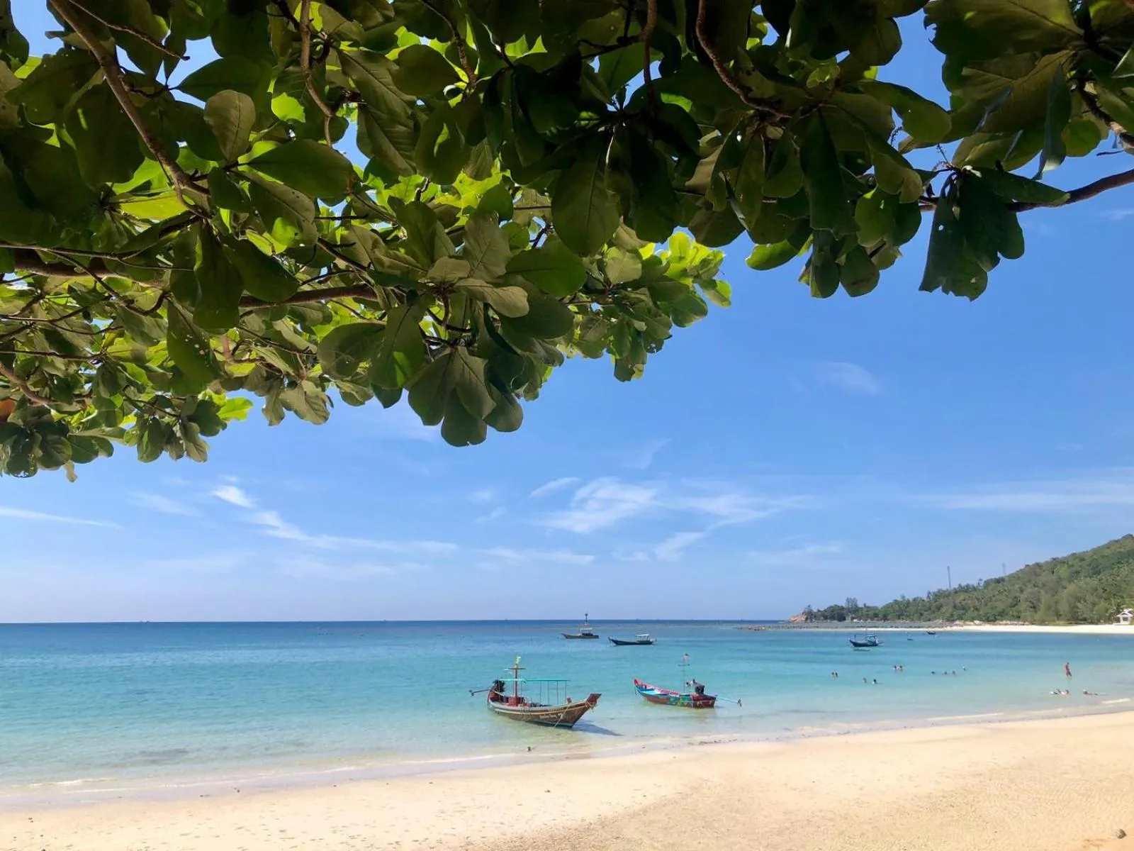 Day in VIVA on the Beach Hotel