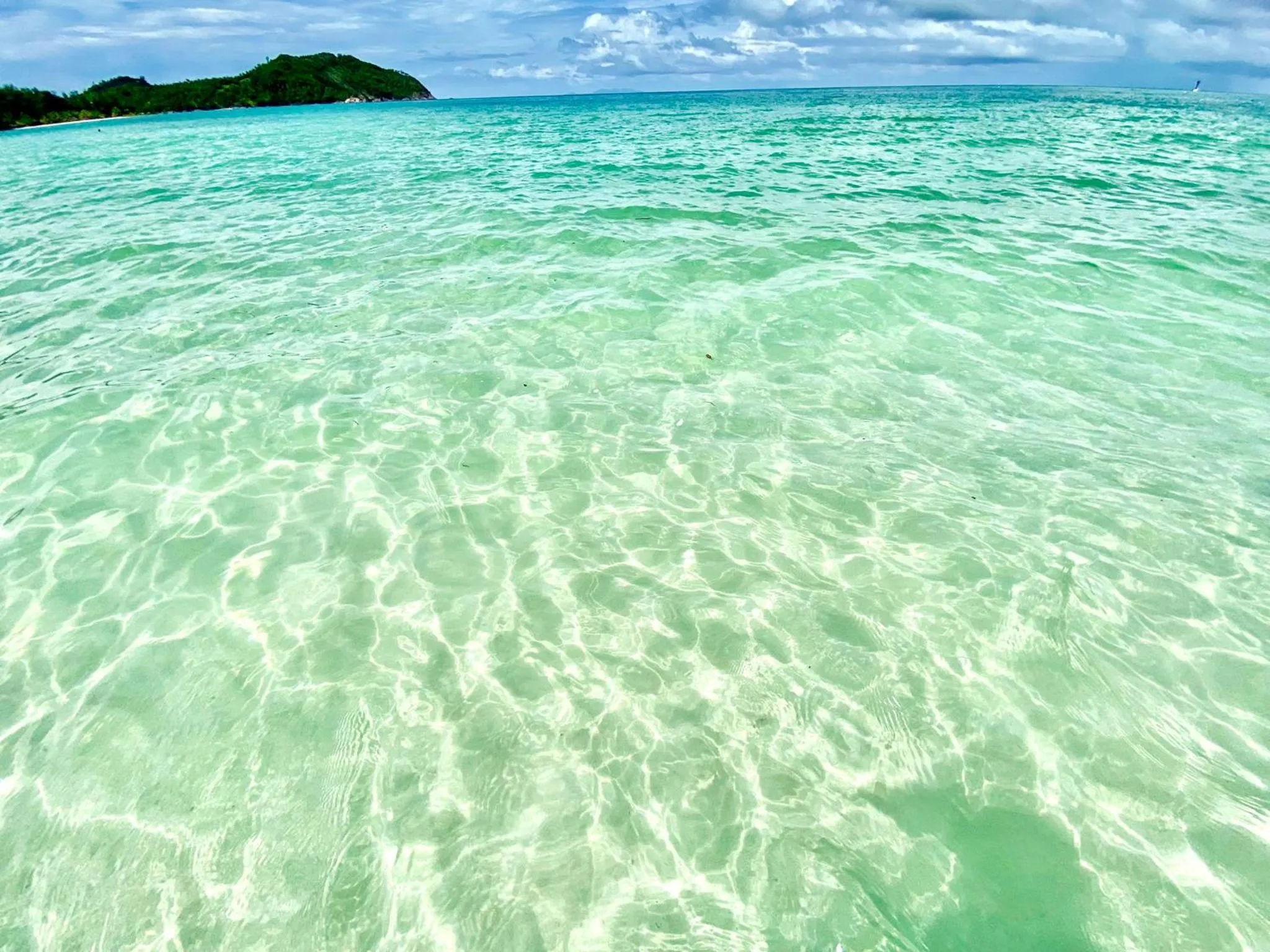 Day in VIVA on the Beach Hotel