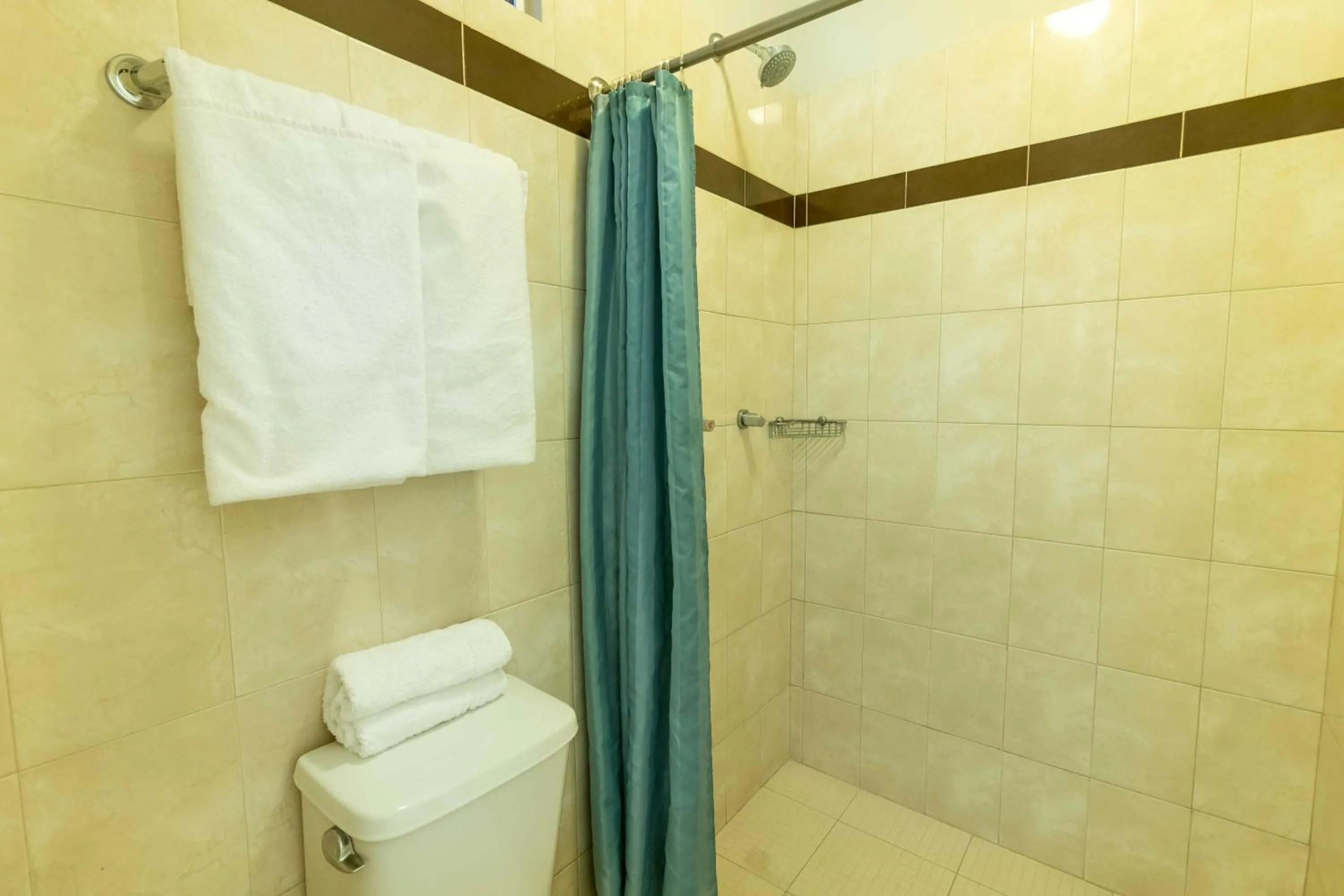 Standard Double Room in Cuatro Misiones Hotel