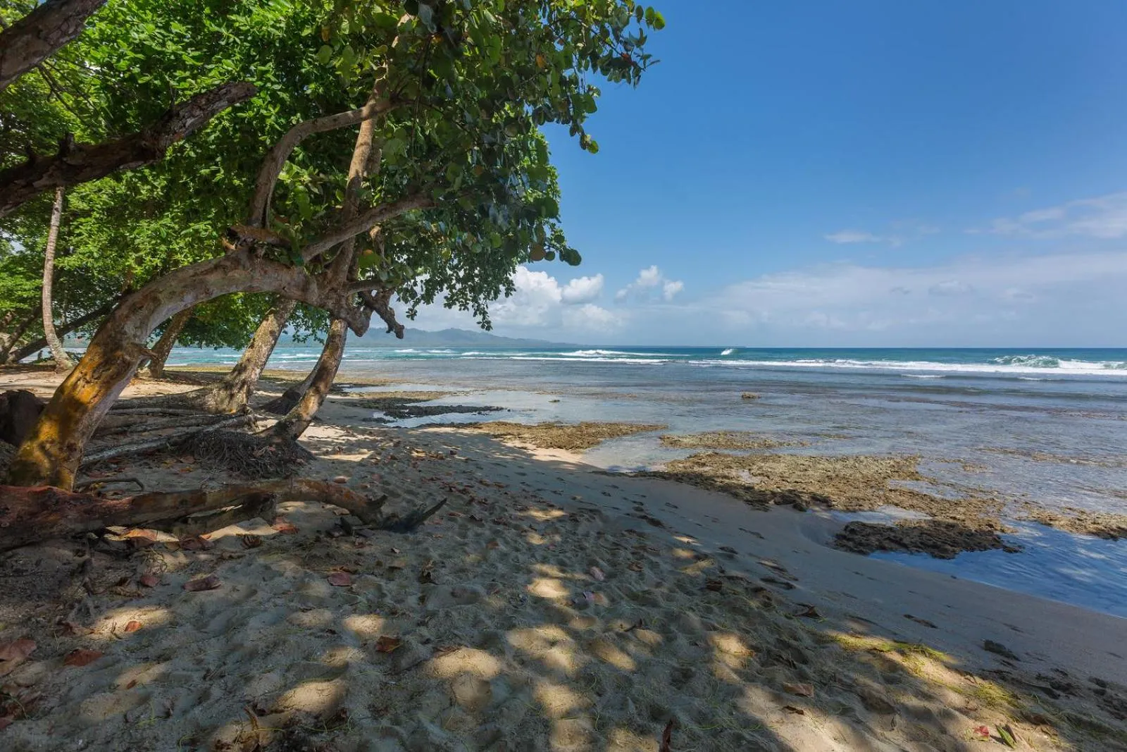 Beach in Yucca Beachfront Hotel