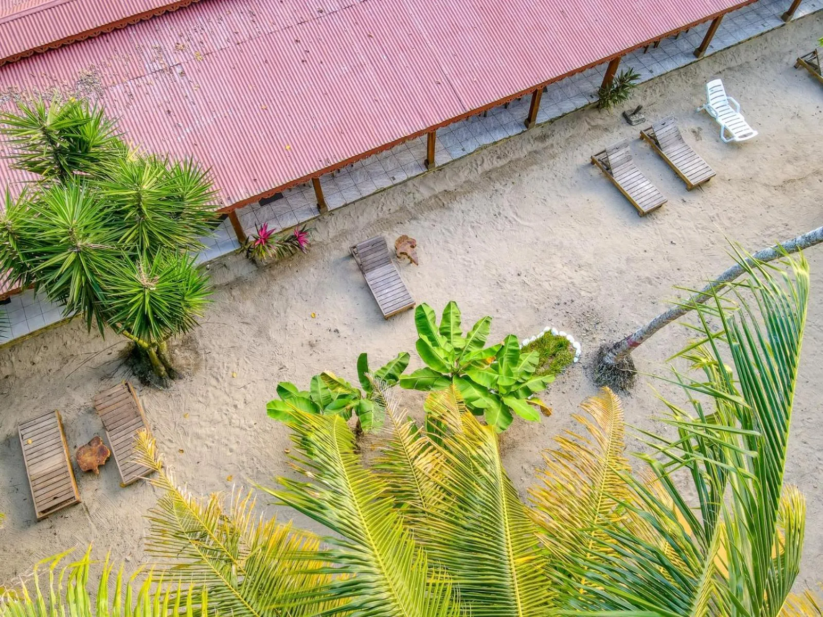 Garden view in Yucca Beachfront Hotel