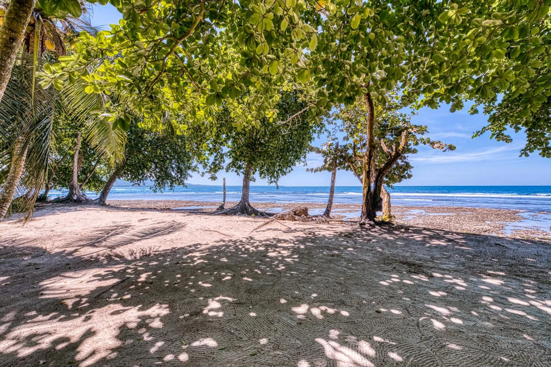 Natural landscape in Yucca Beachfront Hotel