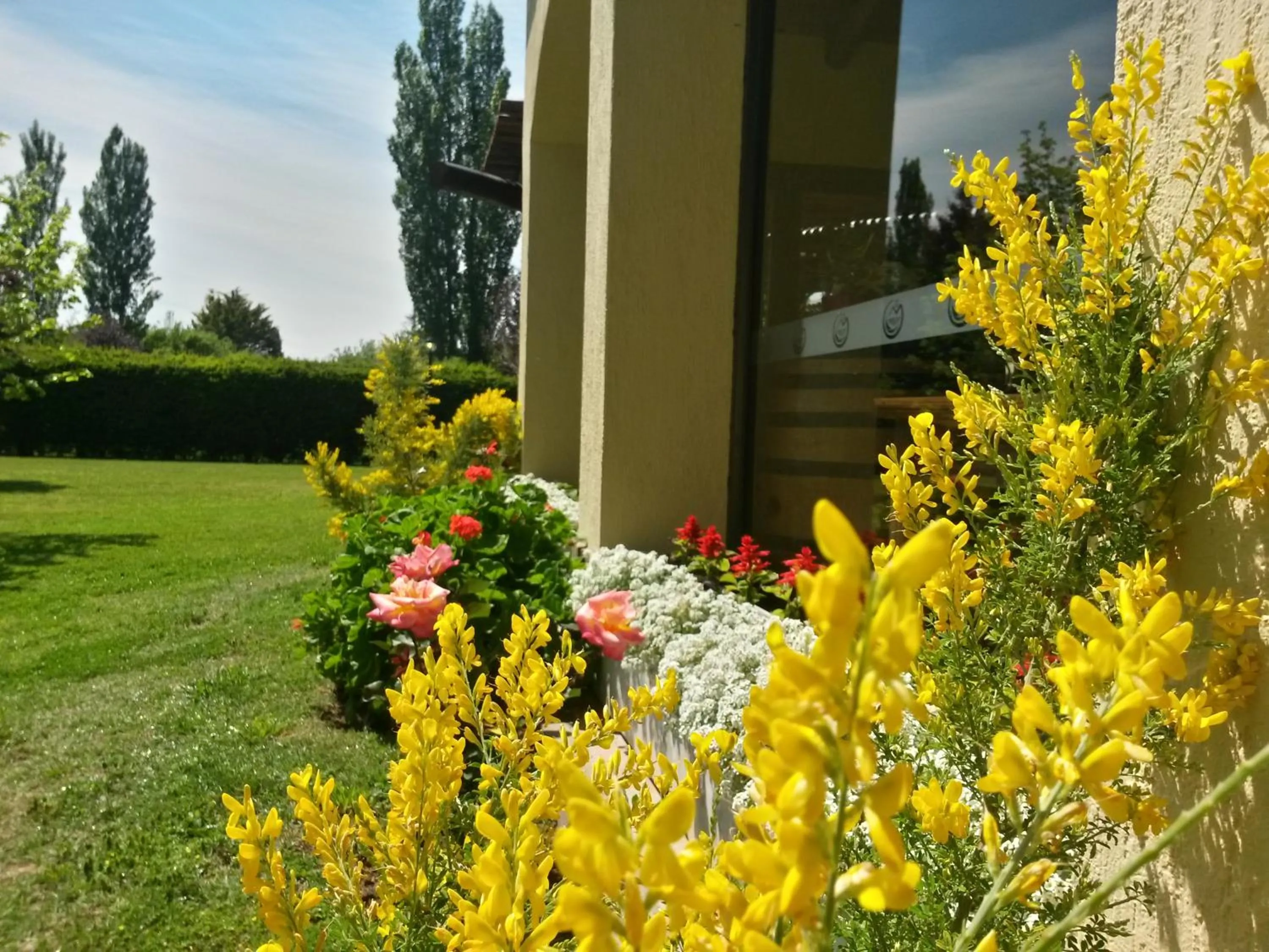 Garden in Pilgrim's Rest - Descanso del Peregrino