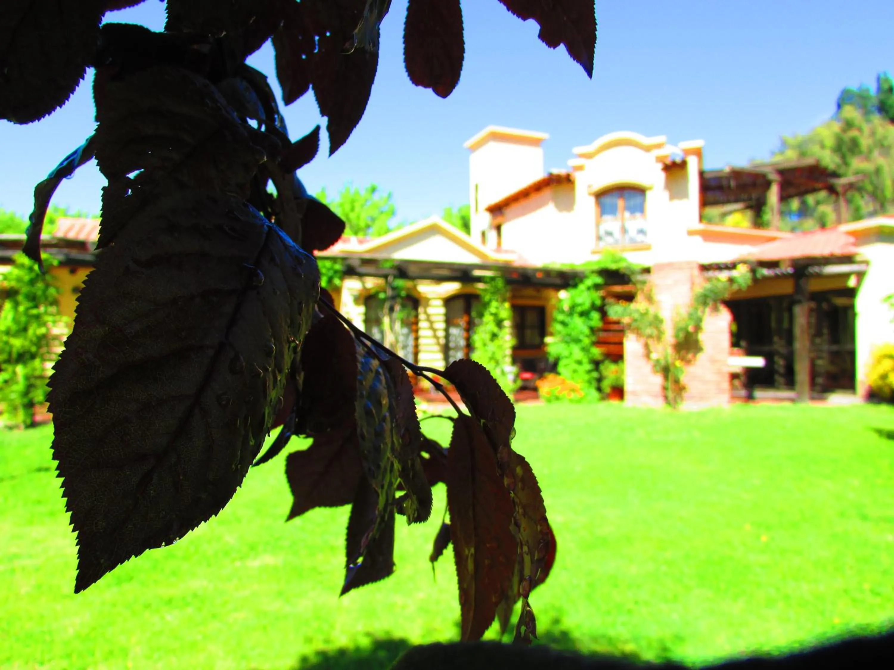 Garden in Pilgrim's Rest - Descanso del Peregrino