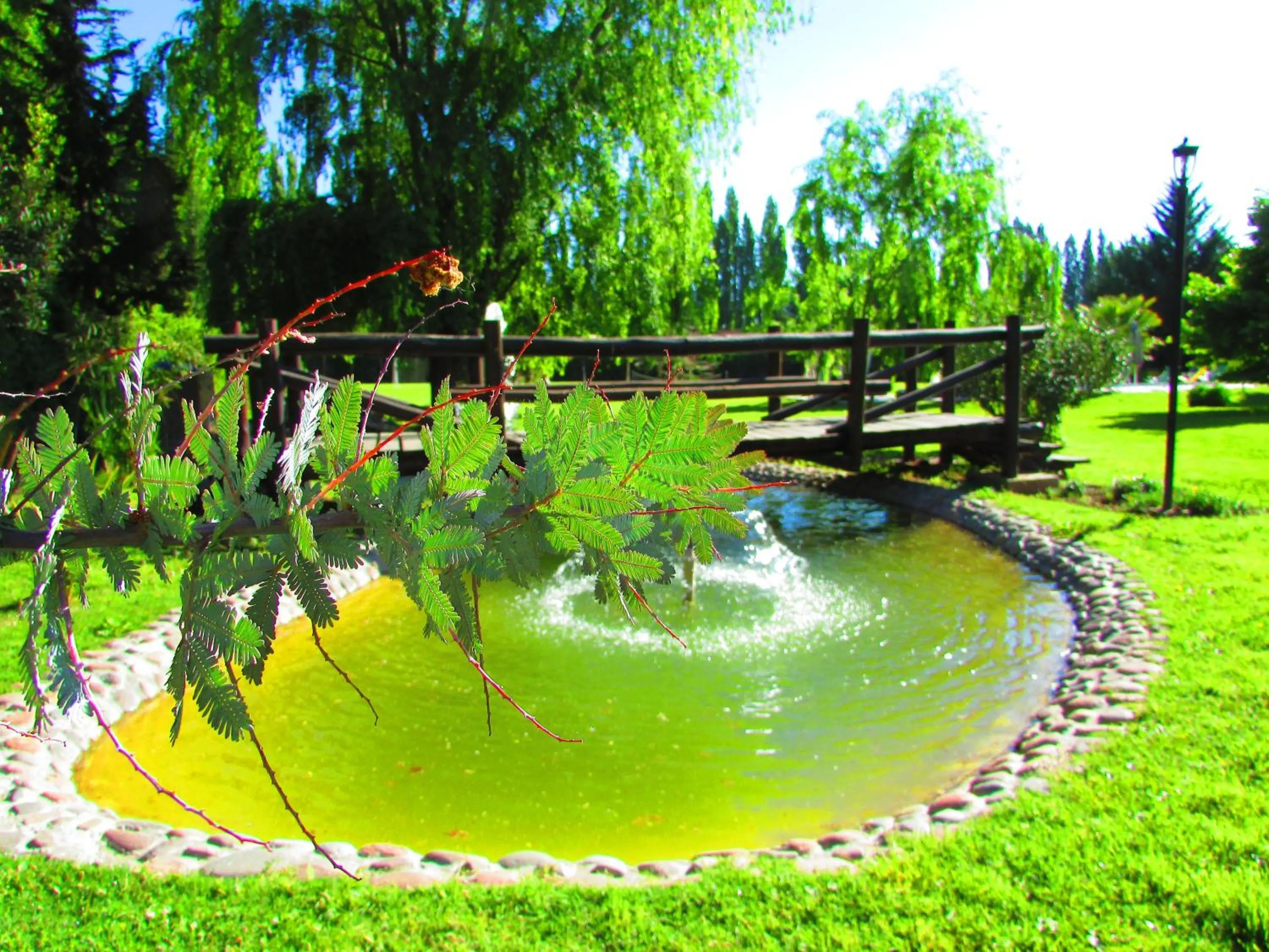 Garden in Pilgrim's Rest - Descanso del Peregrino