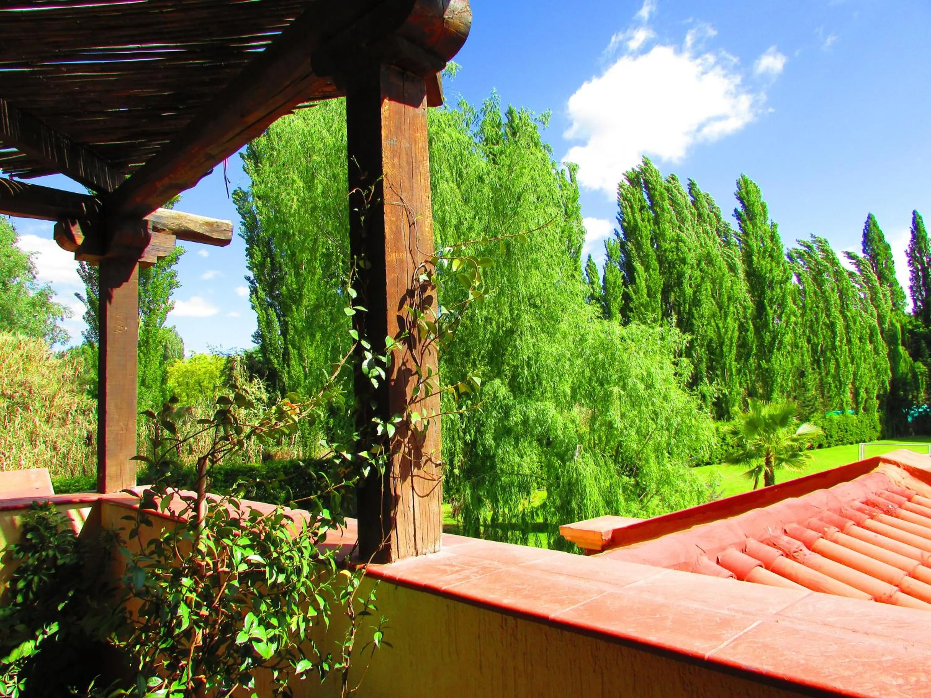Balcony/Terrace in Pilgrim's Rest - Descanso del Peregrino