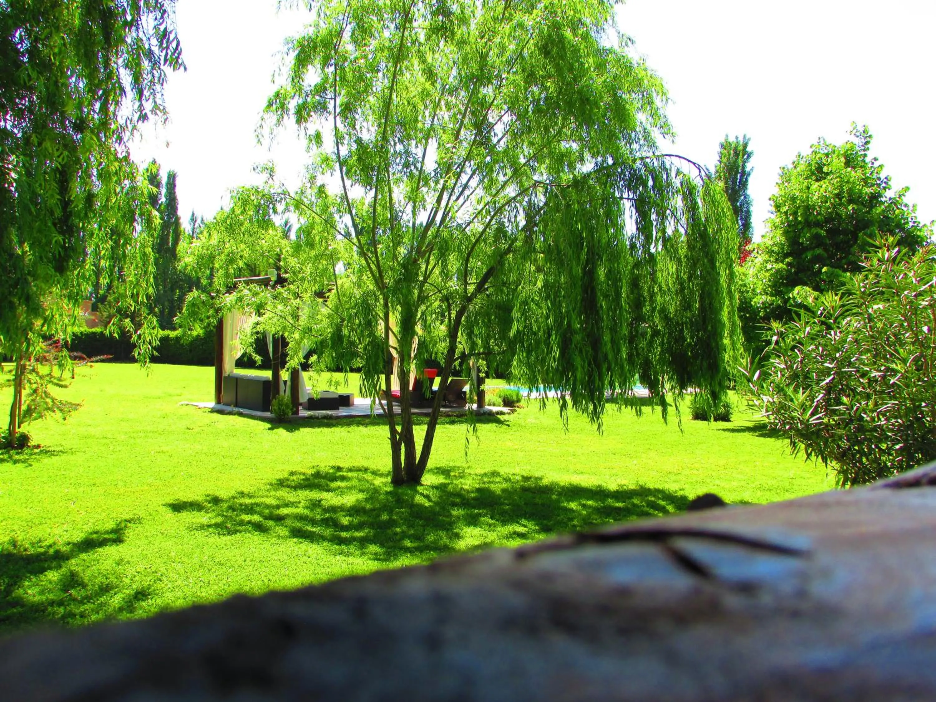 Summer in Pilgrim's Rest - Descanso del Peregrino