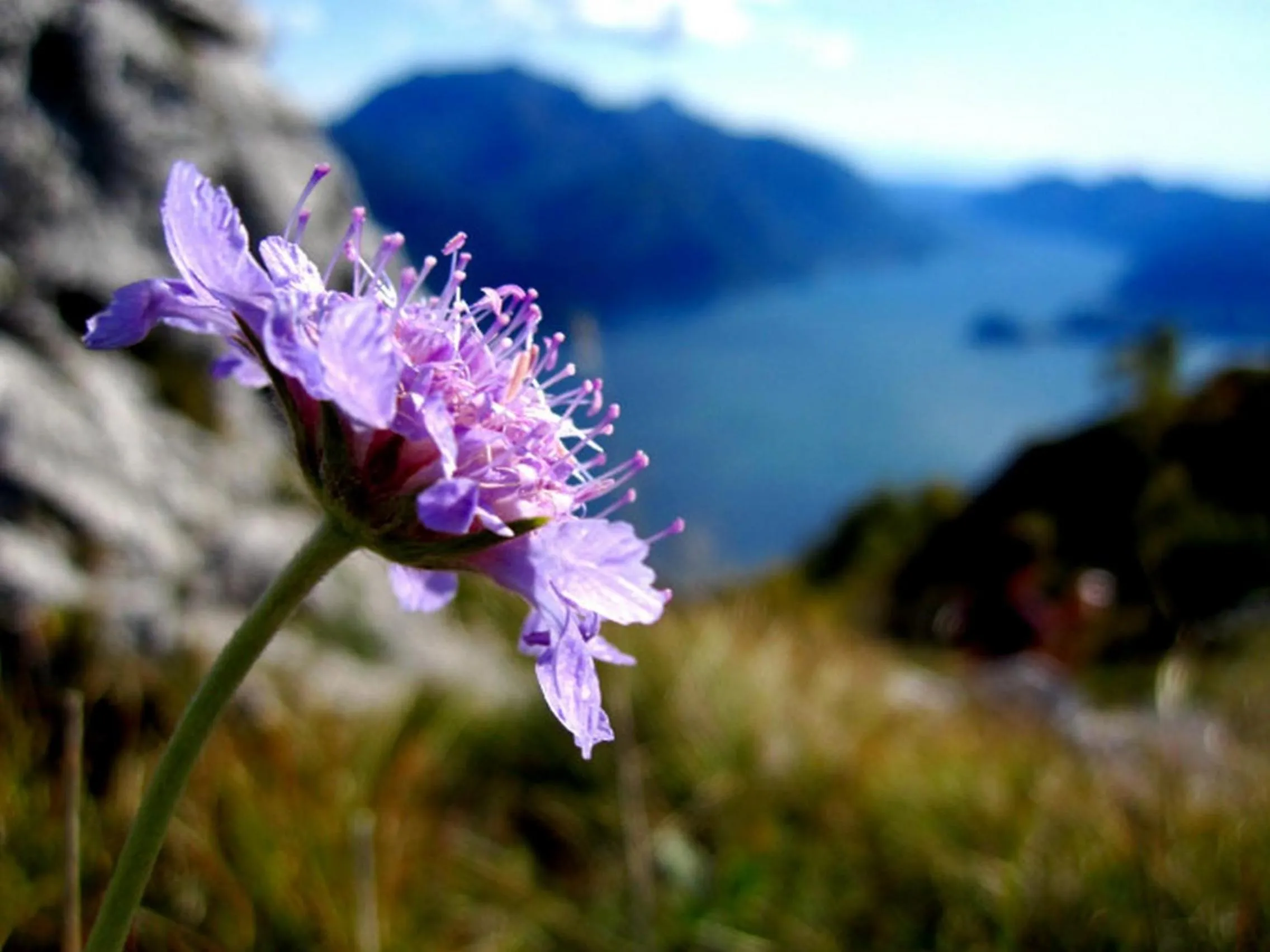 Other in Villa Lakecomo - Ritrovo