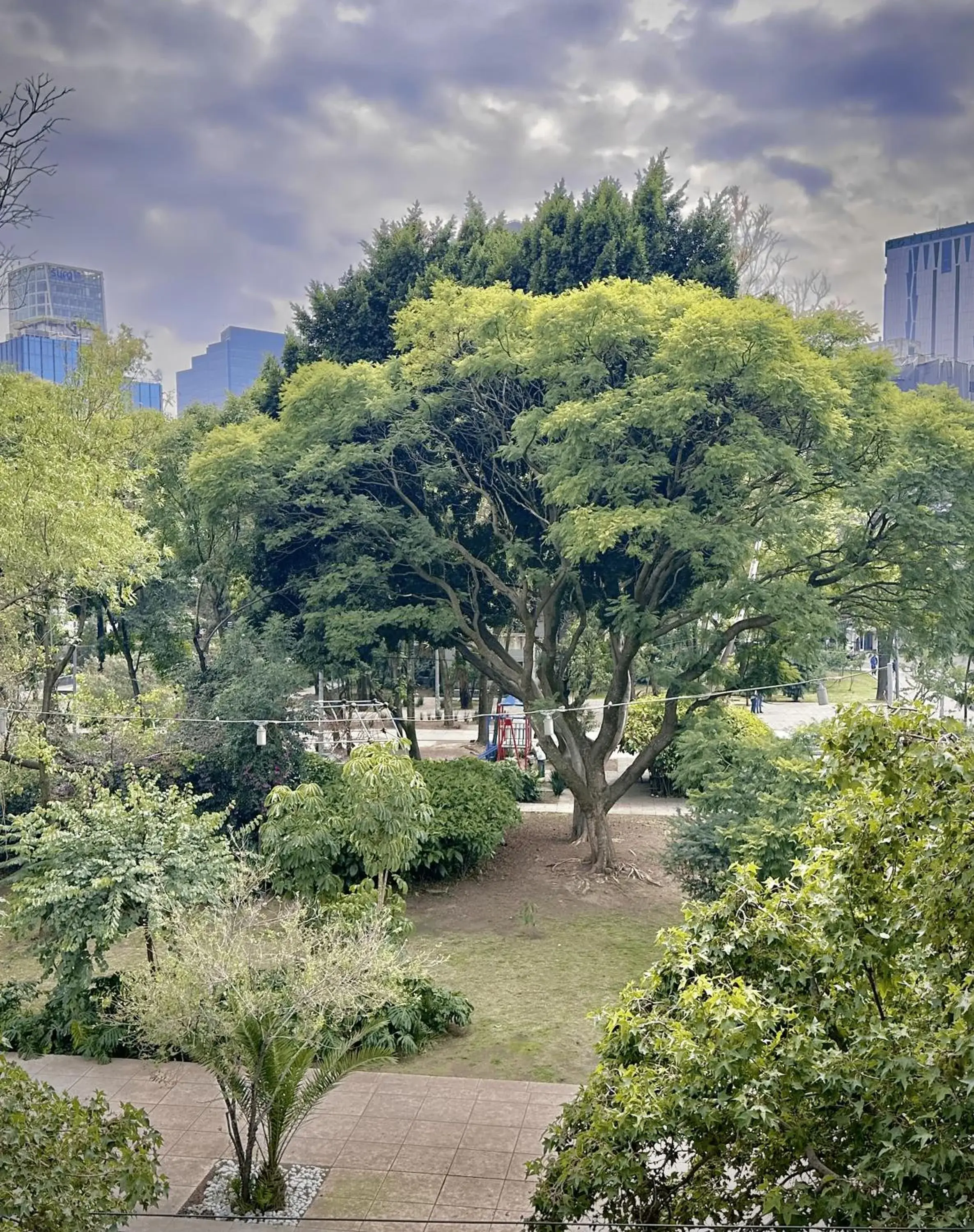 City view in Hotel Stella Maris City view in Hotel Stella Maris