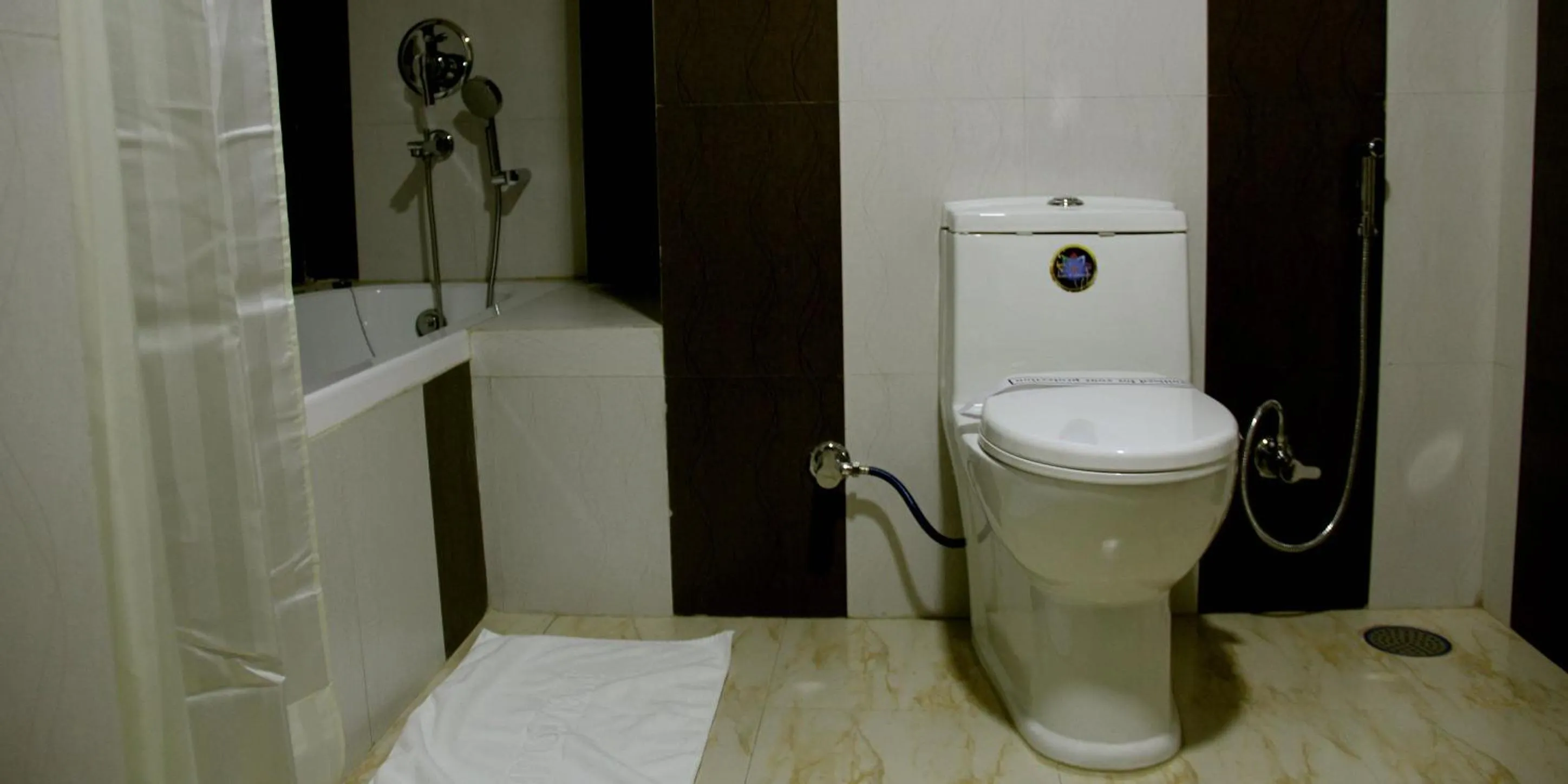 Toilet in Hotel Amodhara