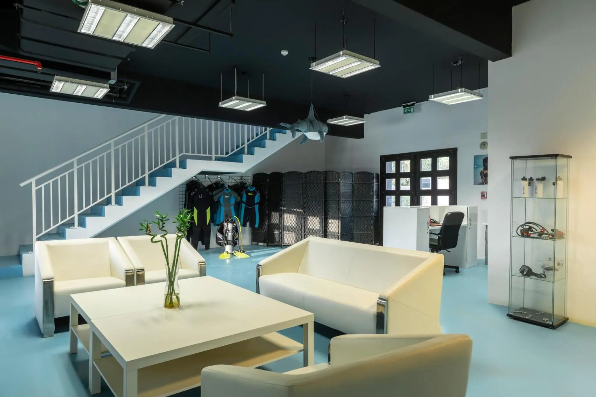 Diving in Atana Musandam Resort