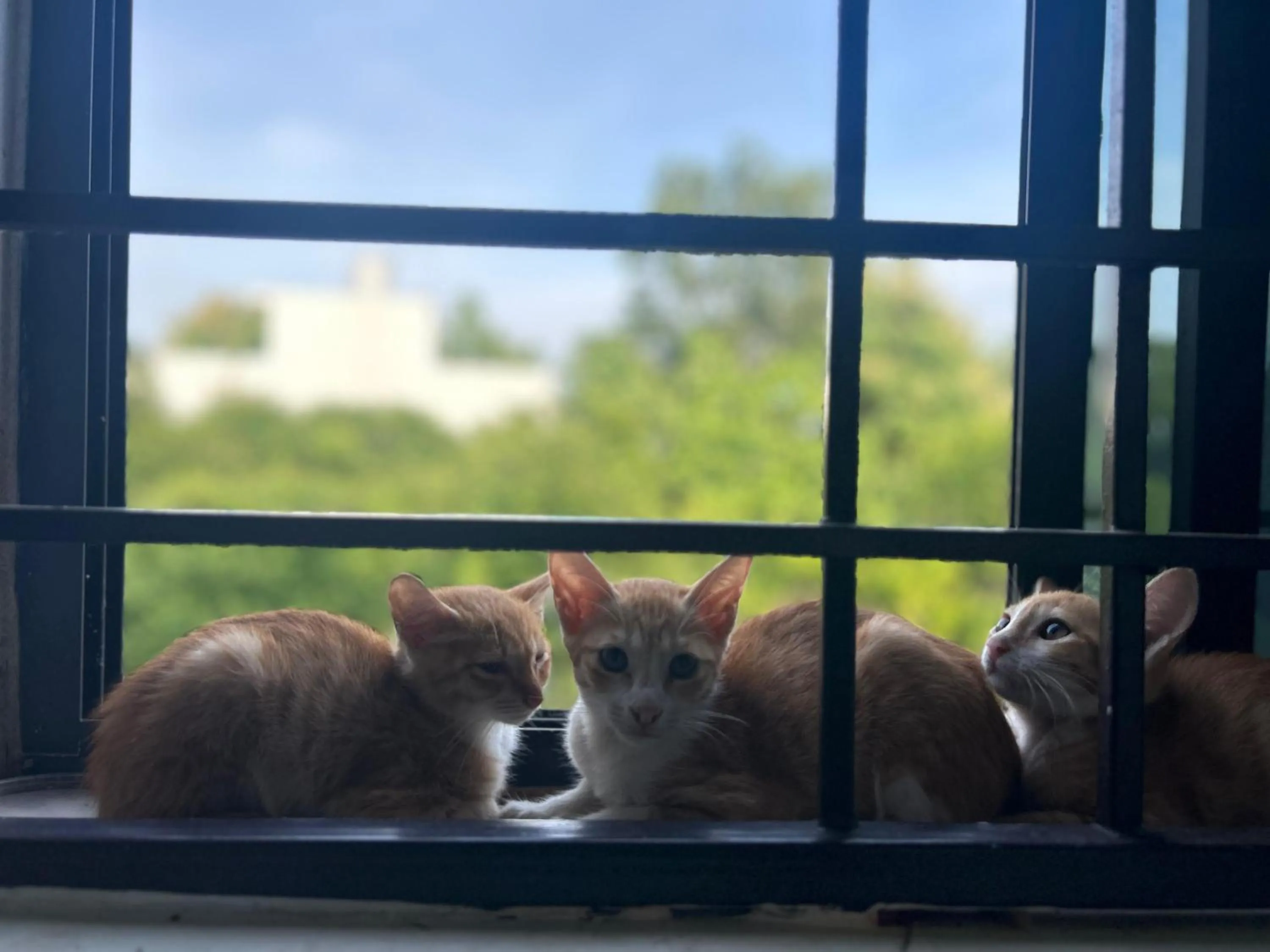 View (from property/room) in The Last Stop Backpackers Hostel