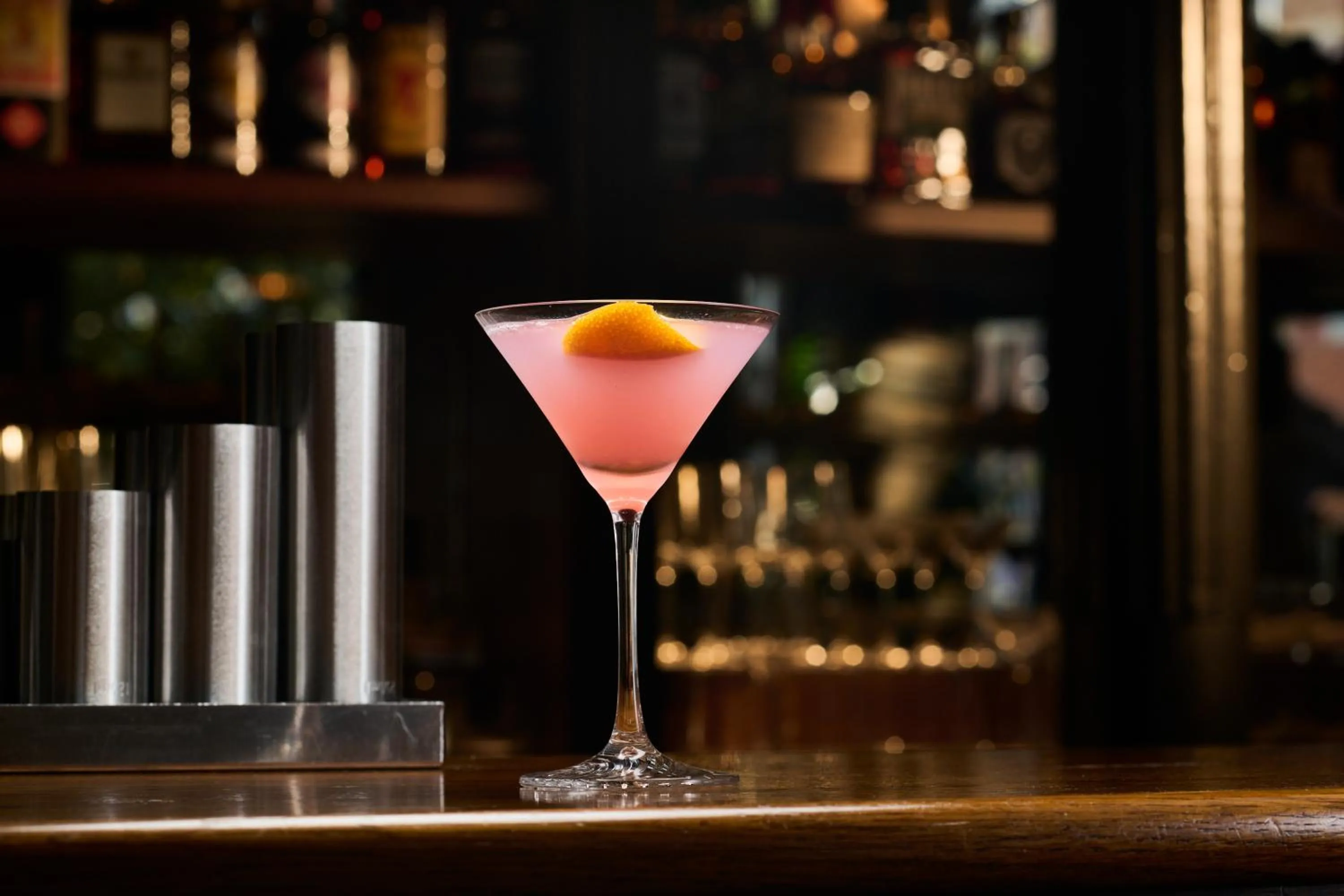 THE KNIGHT OF NOTTINGHILL