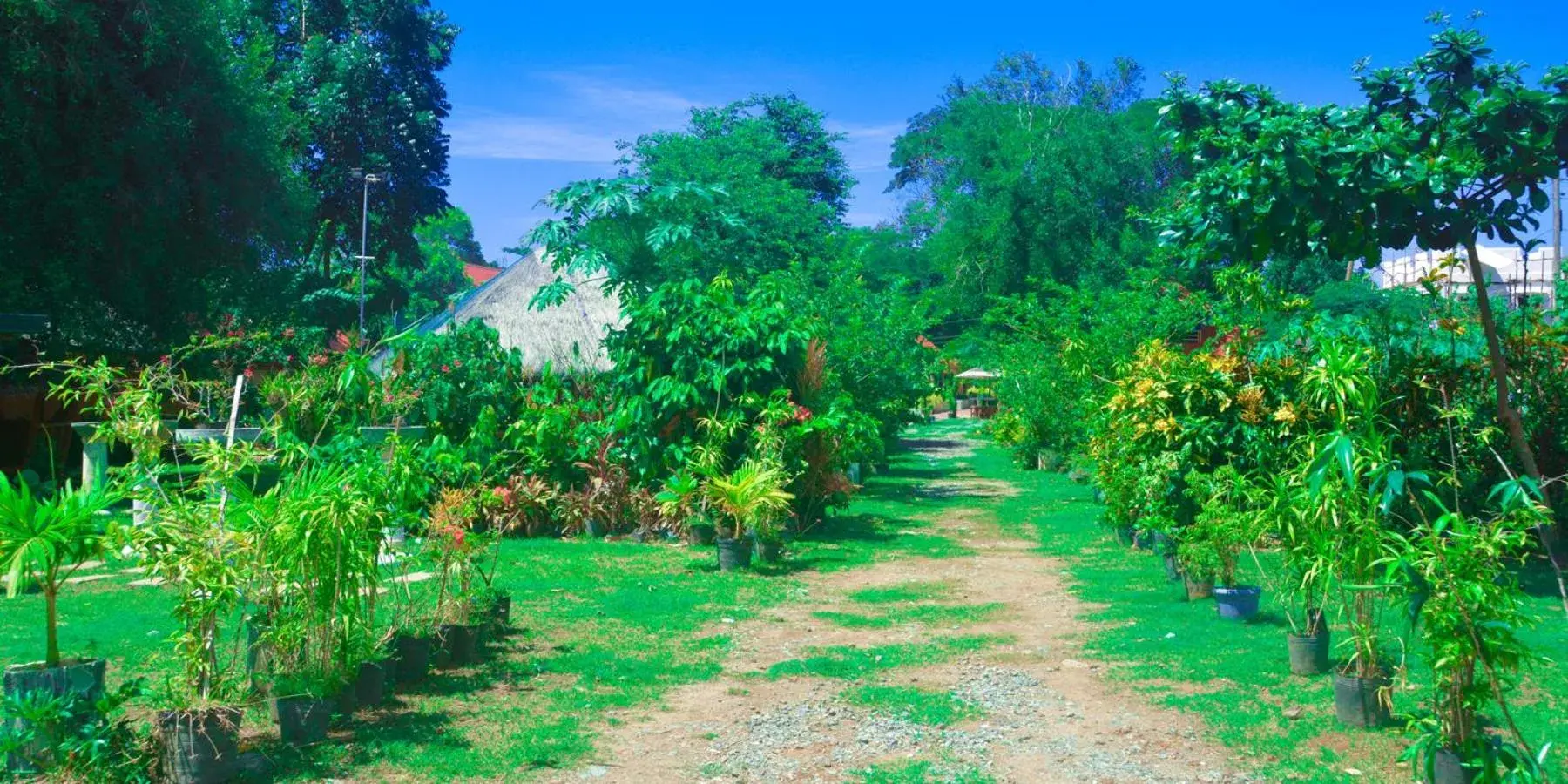 Property building in Michelle Pension Property building in Michelle Pension