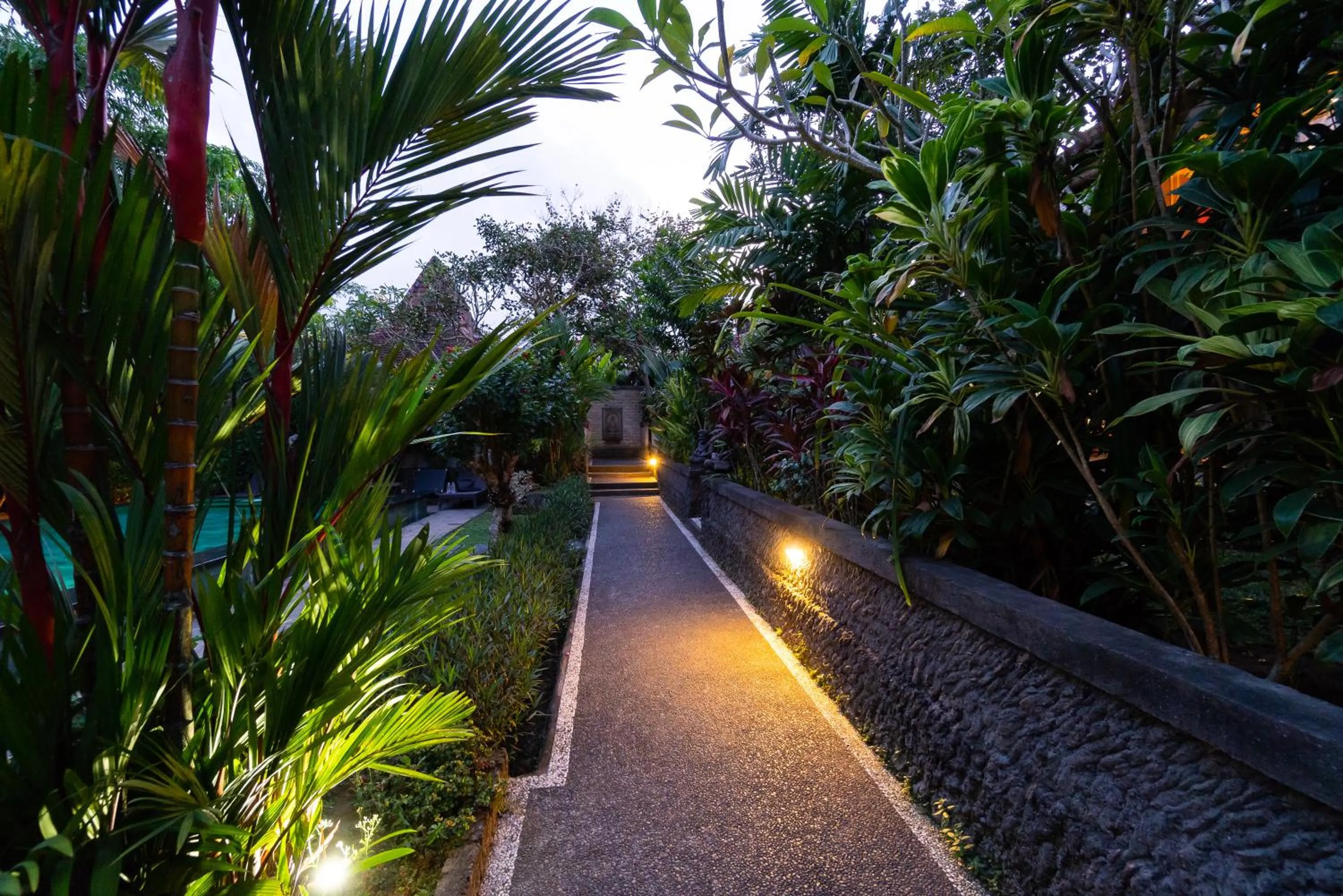 Garden in Sari Bamboo Villas