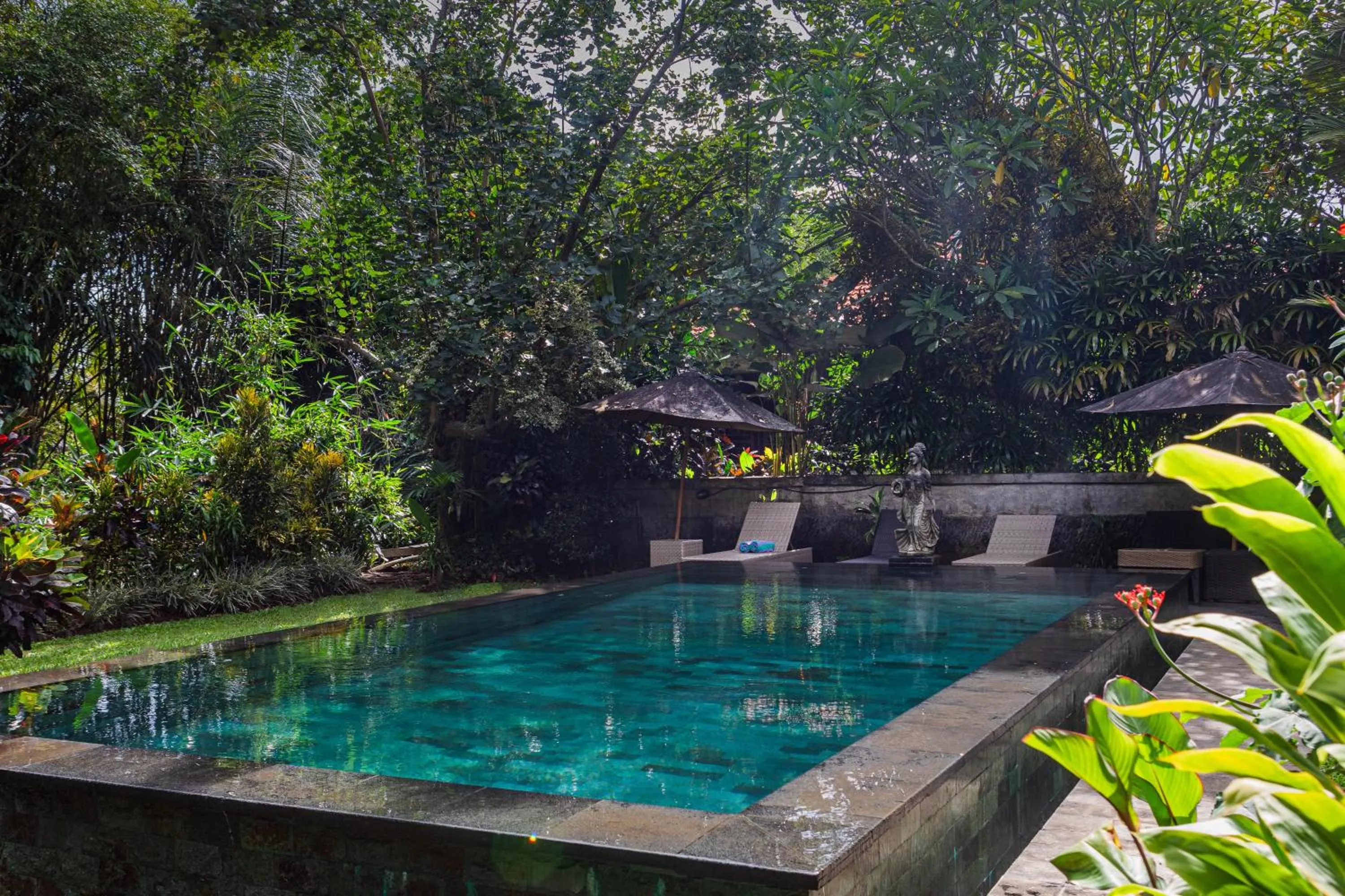 Swimming pool in Sari Bamboo Villas