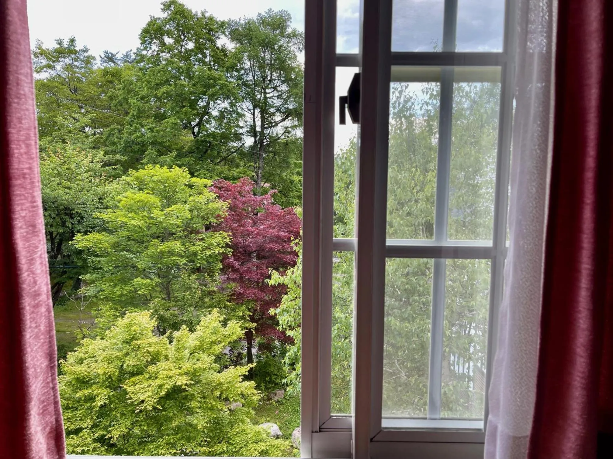 Natural landscape in Hotel Sejour Mint in Hakuba