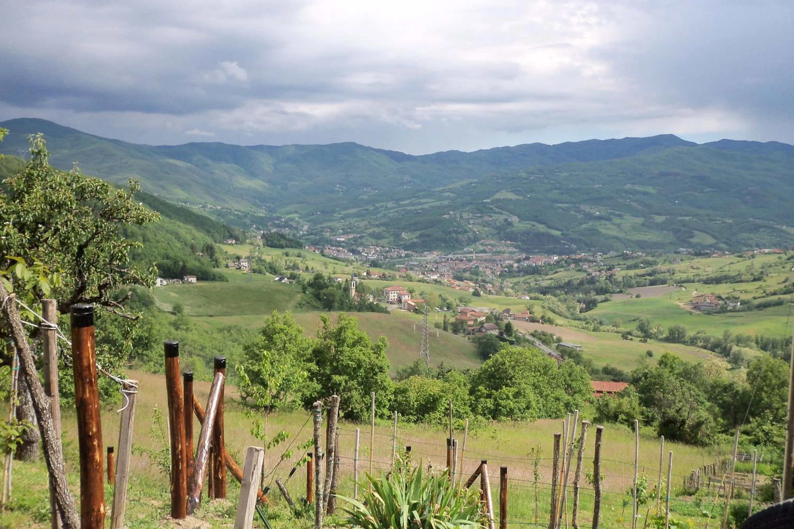 Natural landscape in Borgoeden
