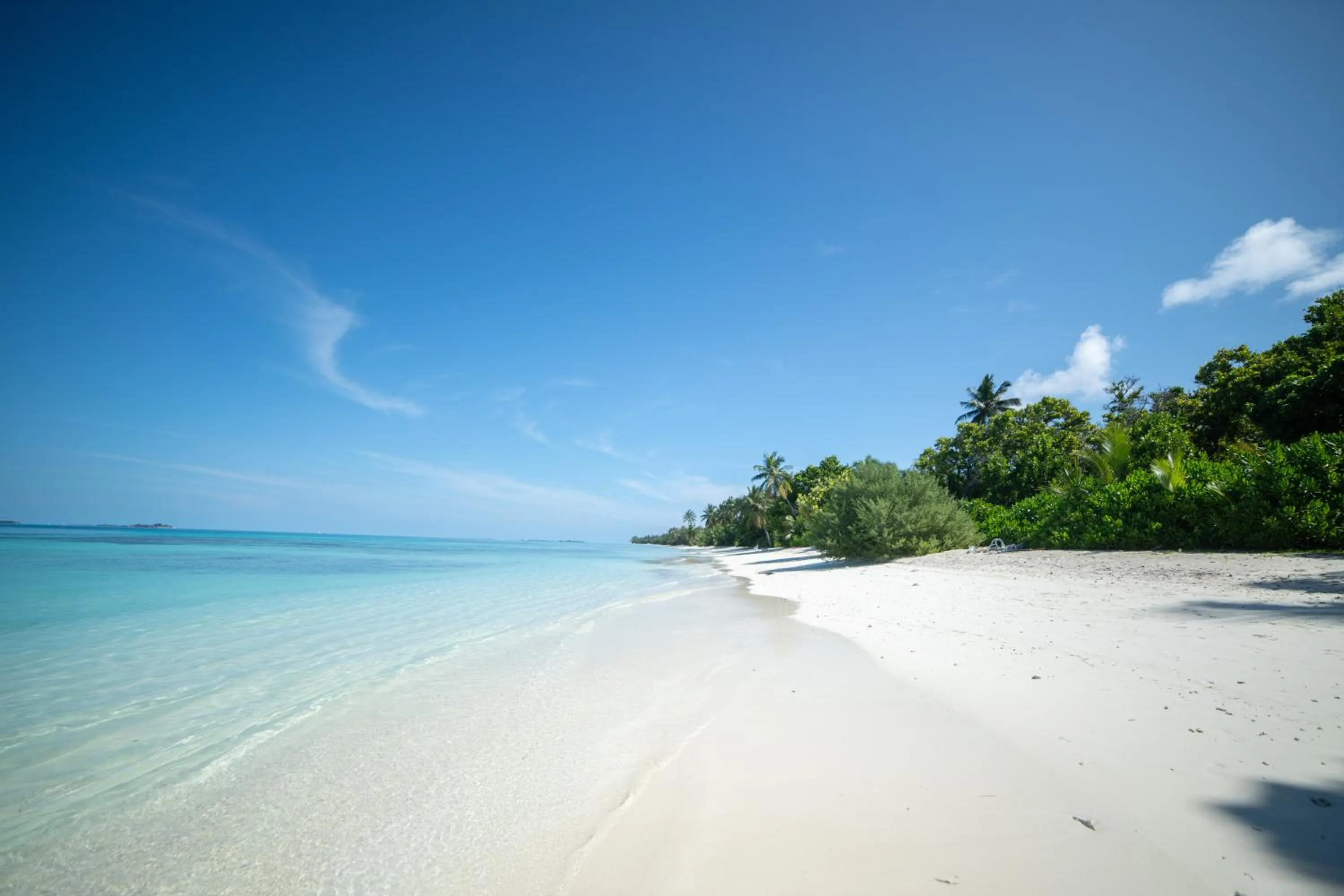 Beach in Whaleshark Beach