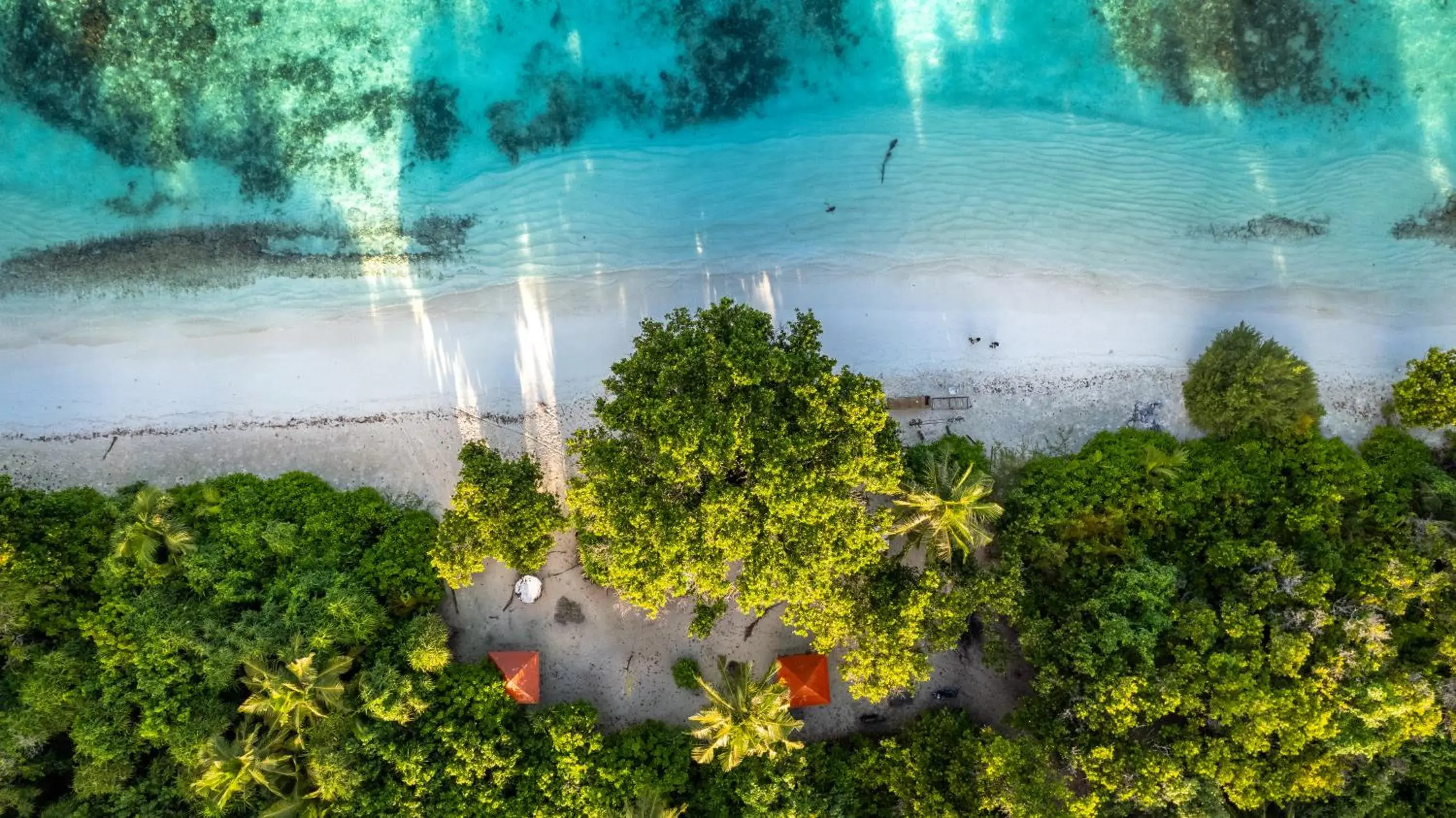 Whaleshark Beach Whaleshark Beach