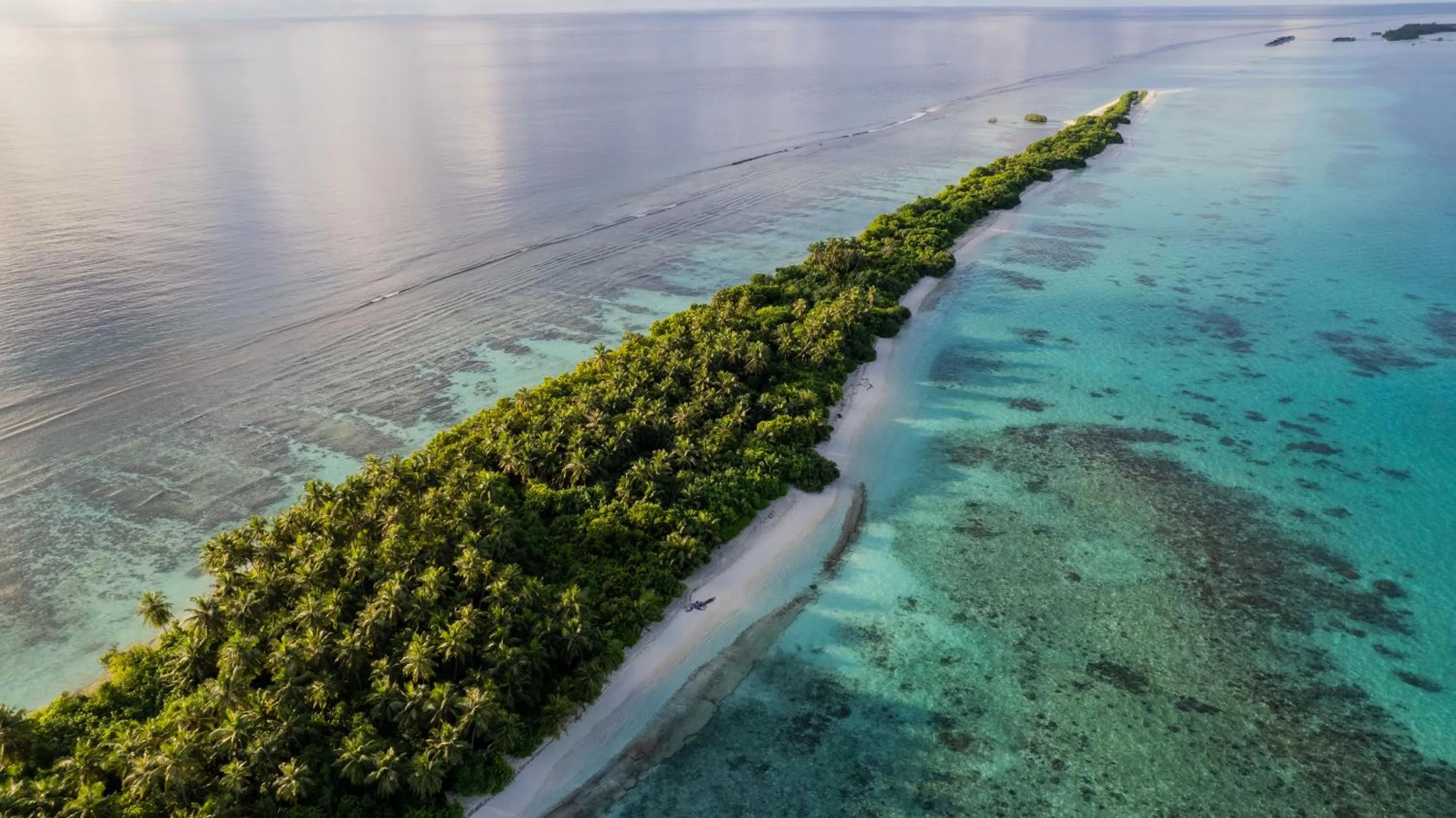 Entertainment in Whaleshark Beach