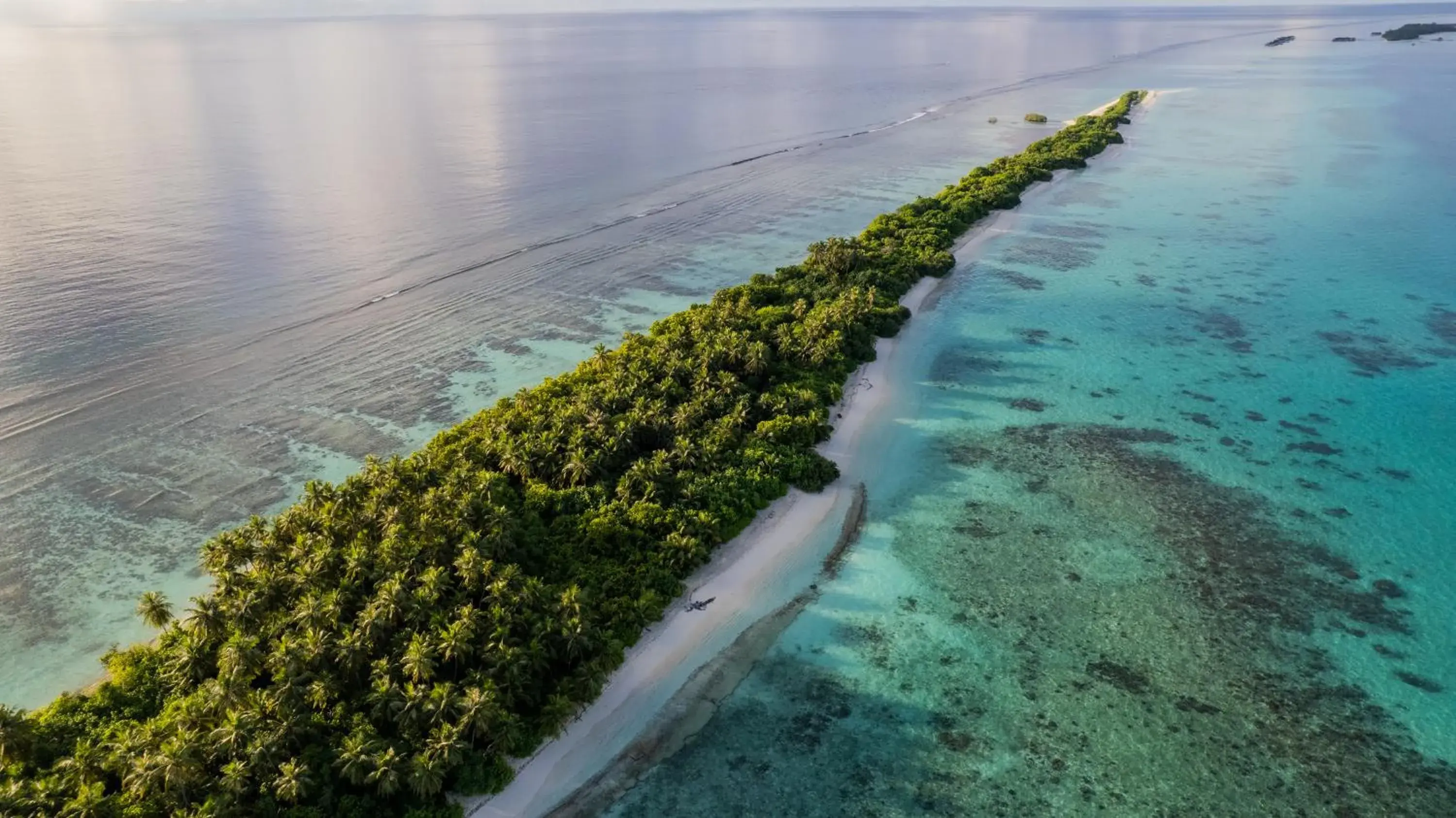 Whaleshark Beach Whaleshark Beach