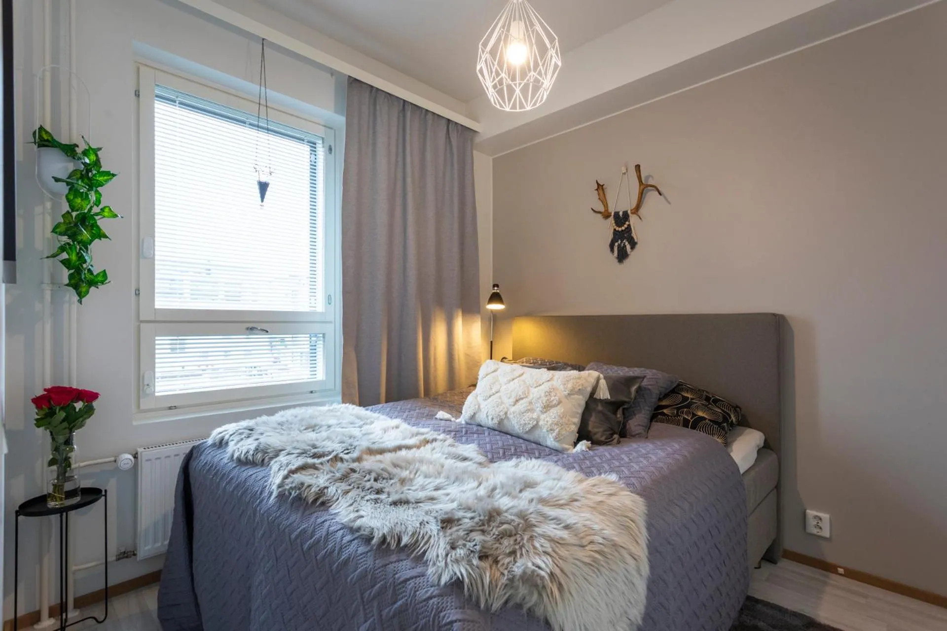 Vasko luxurious suites, Soilu