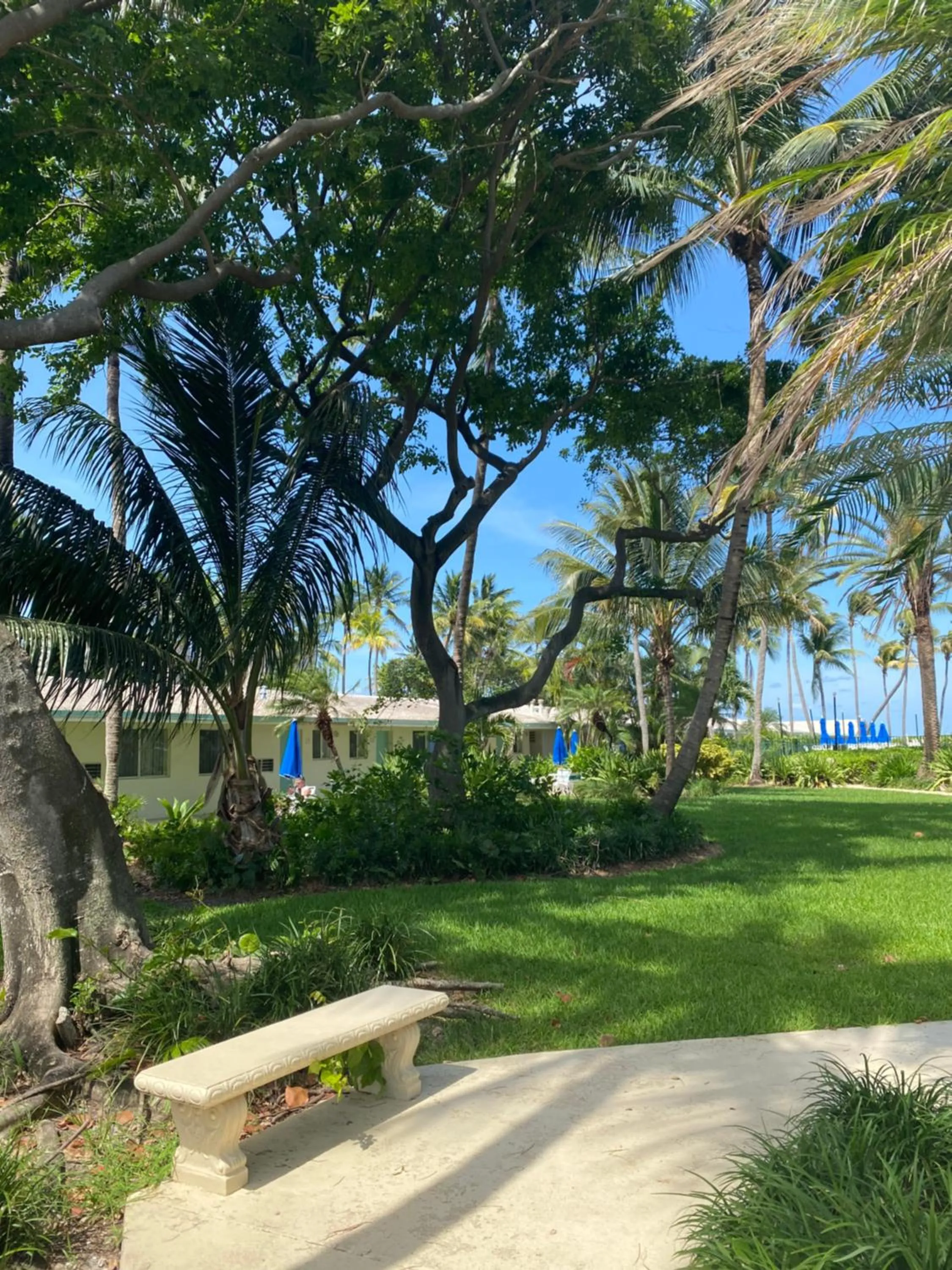 Garden view in Silver Sands Beach Resort