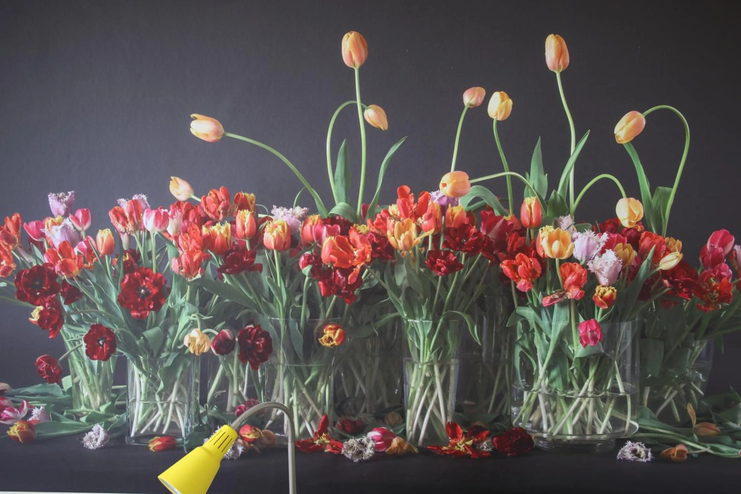 Decorative detail in Bicycle Hotel Amsterdam