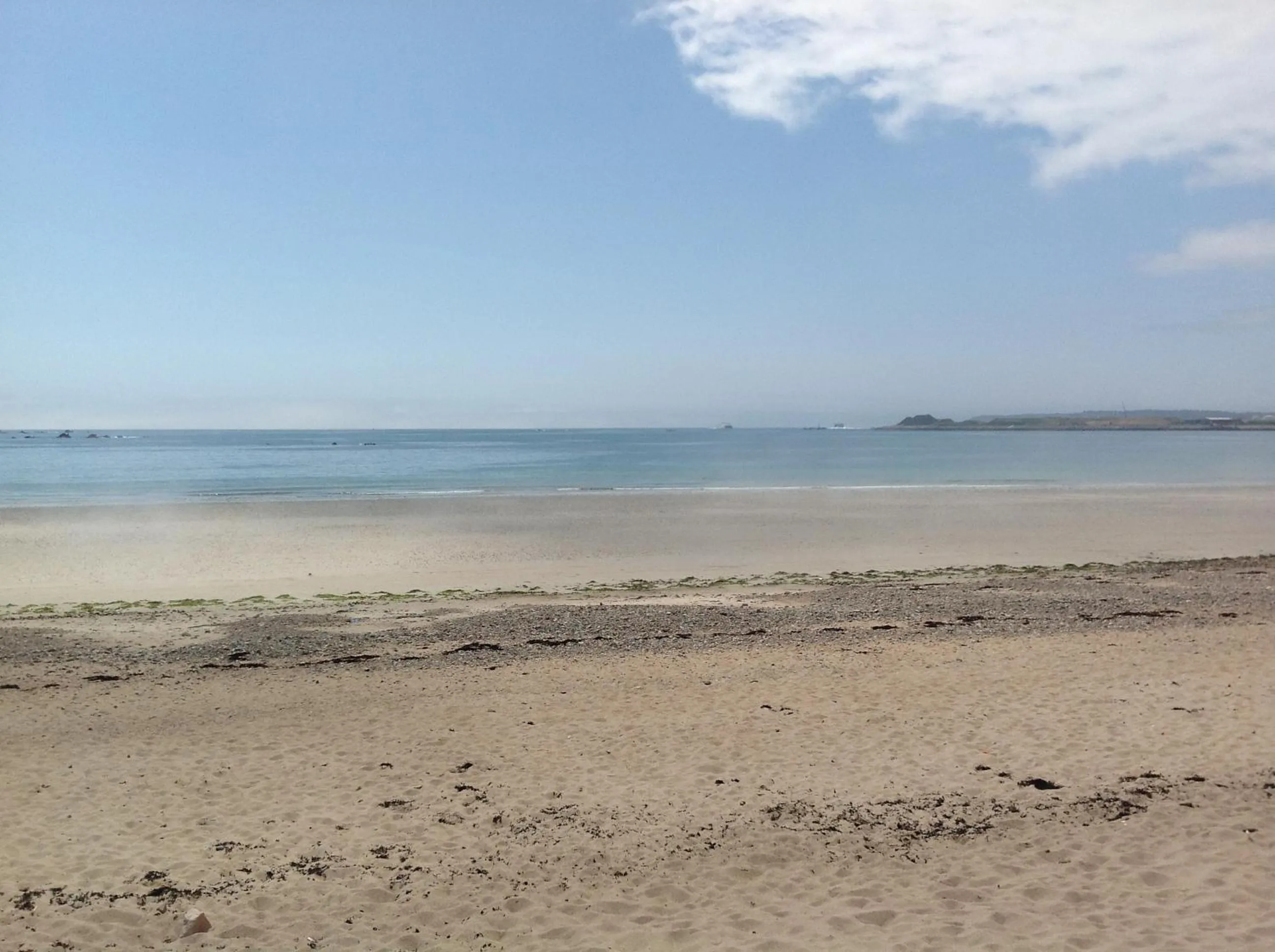 Natural landscape in Hotel Ambassadeur