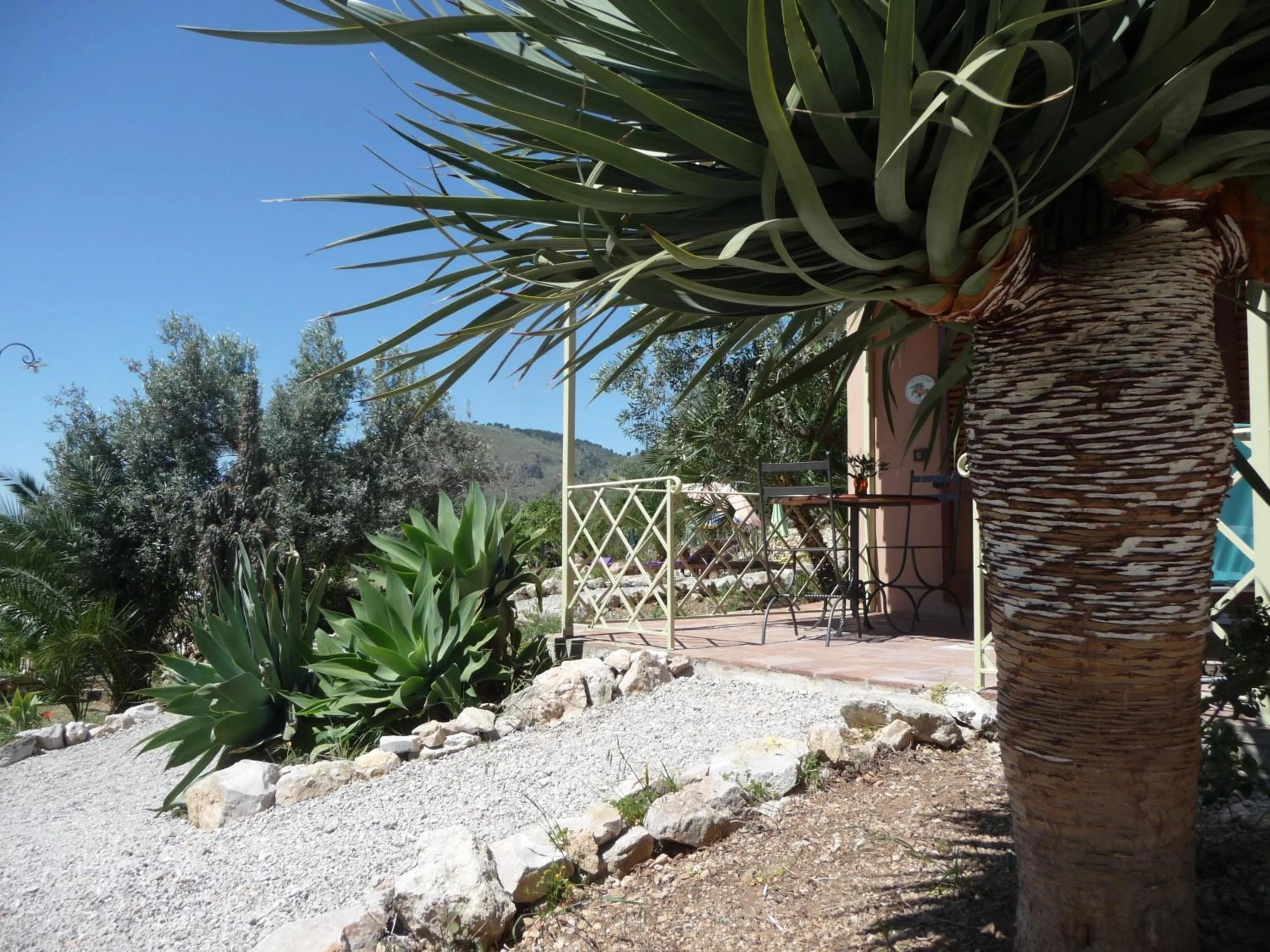 Day in Villa Paladino Solunto