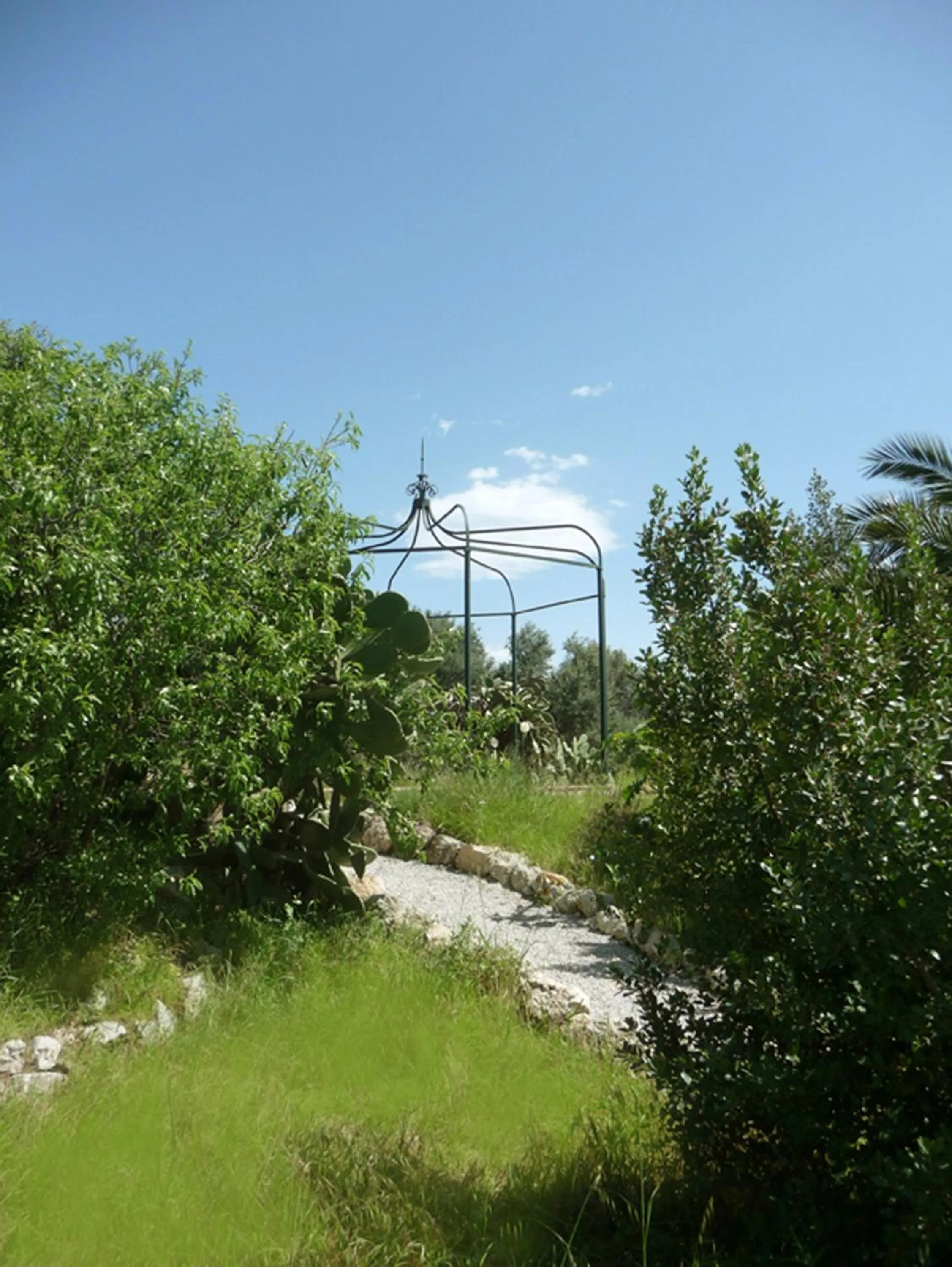 Day in Villa Paladino Solunto