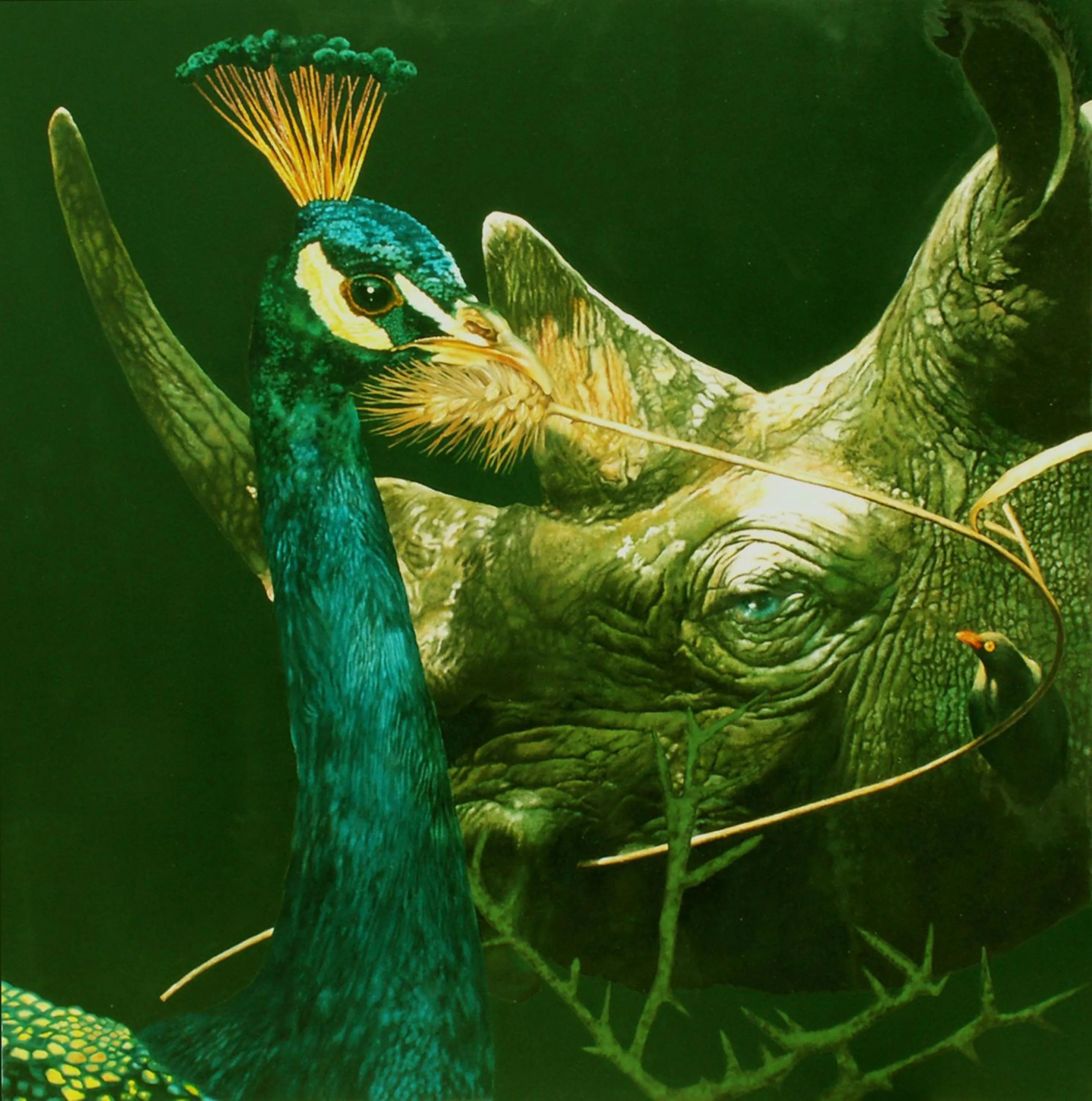 Day in Villa Paladino Solunto