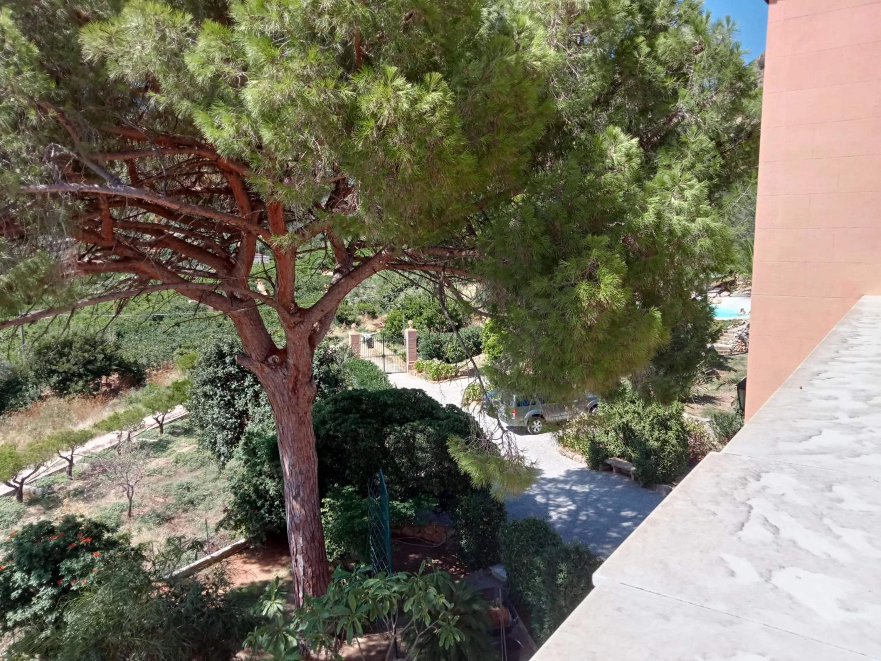 Garden in Villa Paladino Solunto