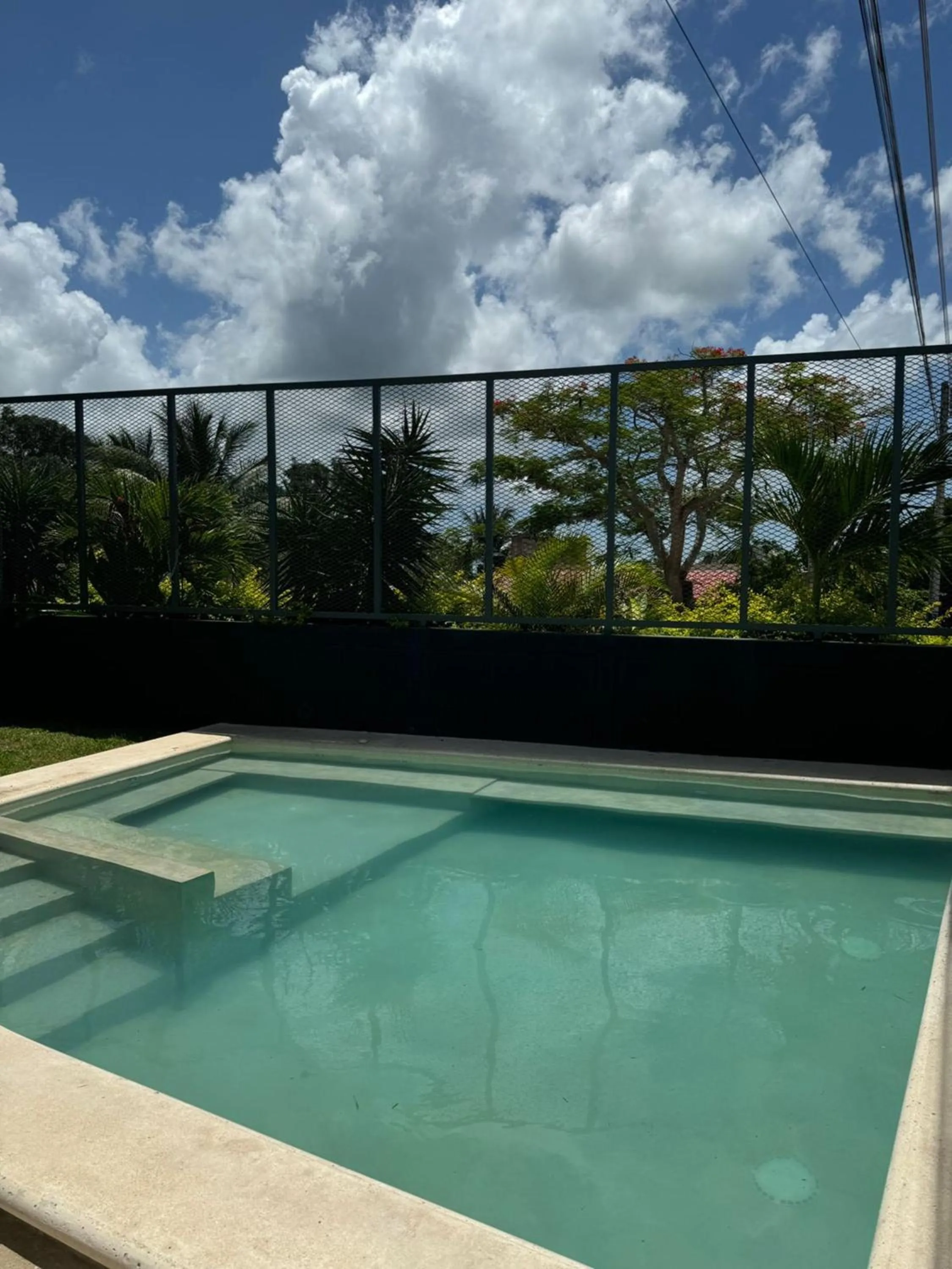 Swimming pool in Containers Bacalar