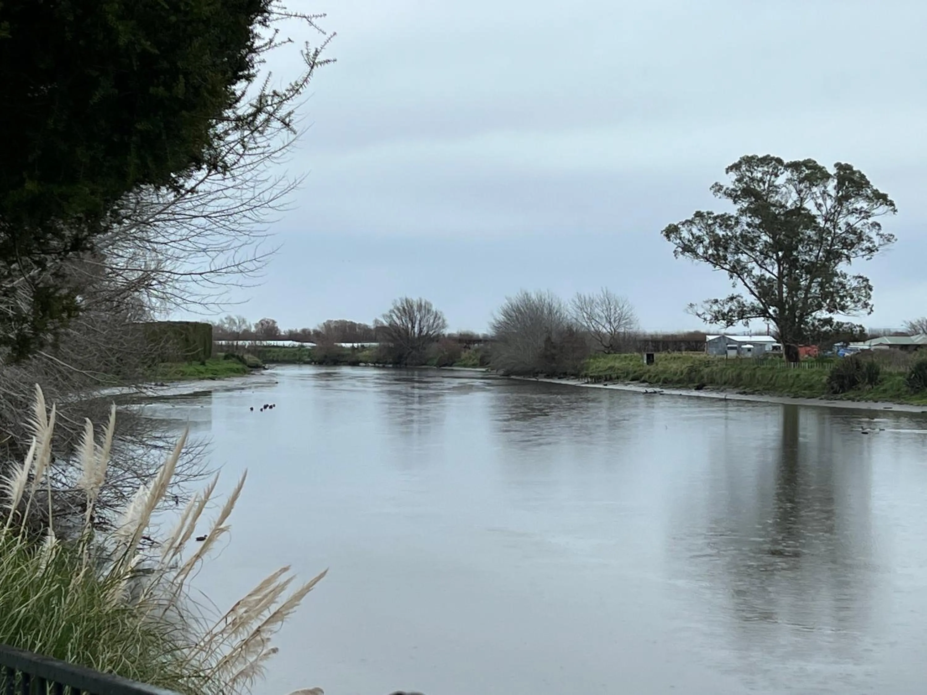 Riverside Bliss