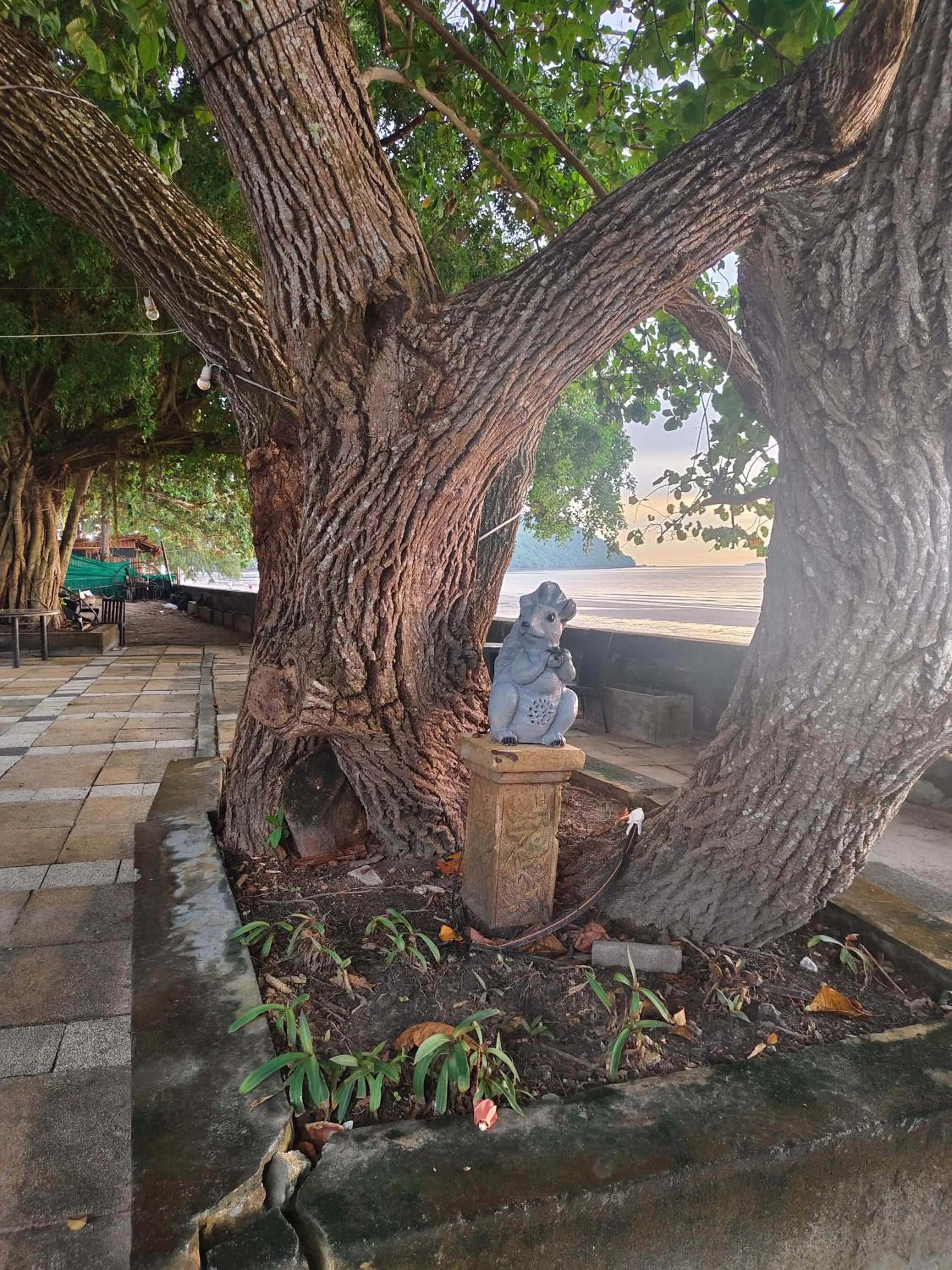 Property building in Blue Bay Resort - Access to Pool and Beach-Phuket & Krabi