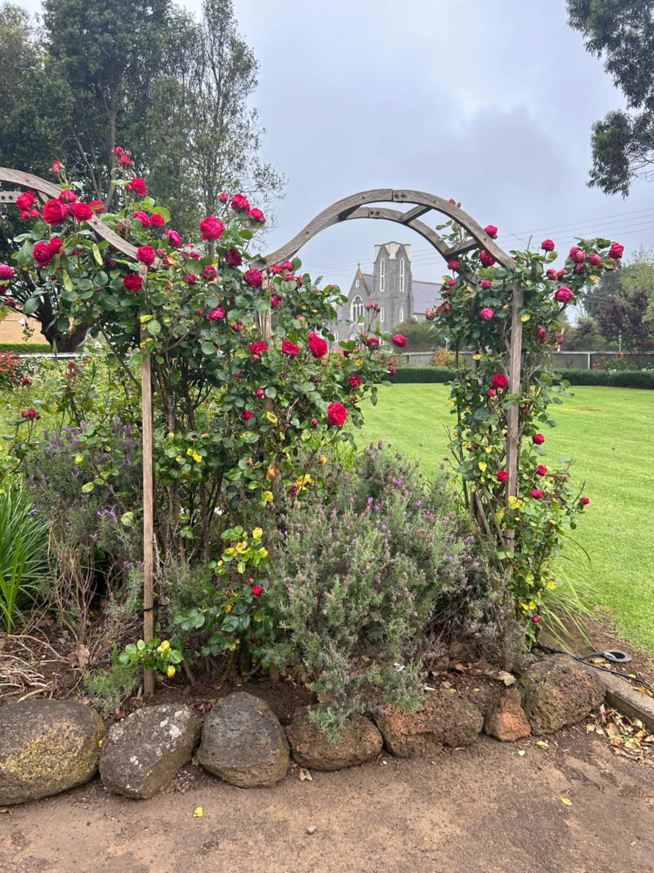 Garden in Convent at Koroit