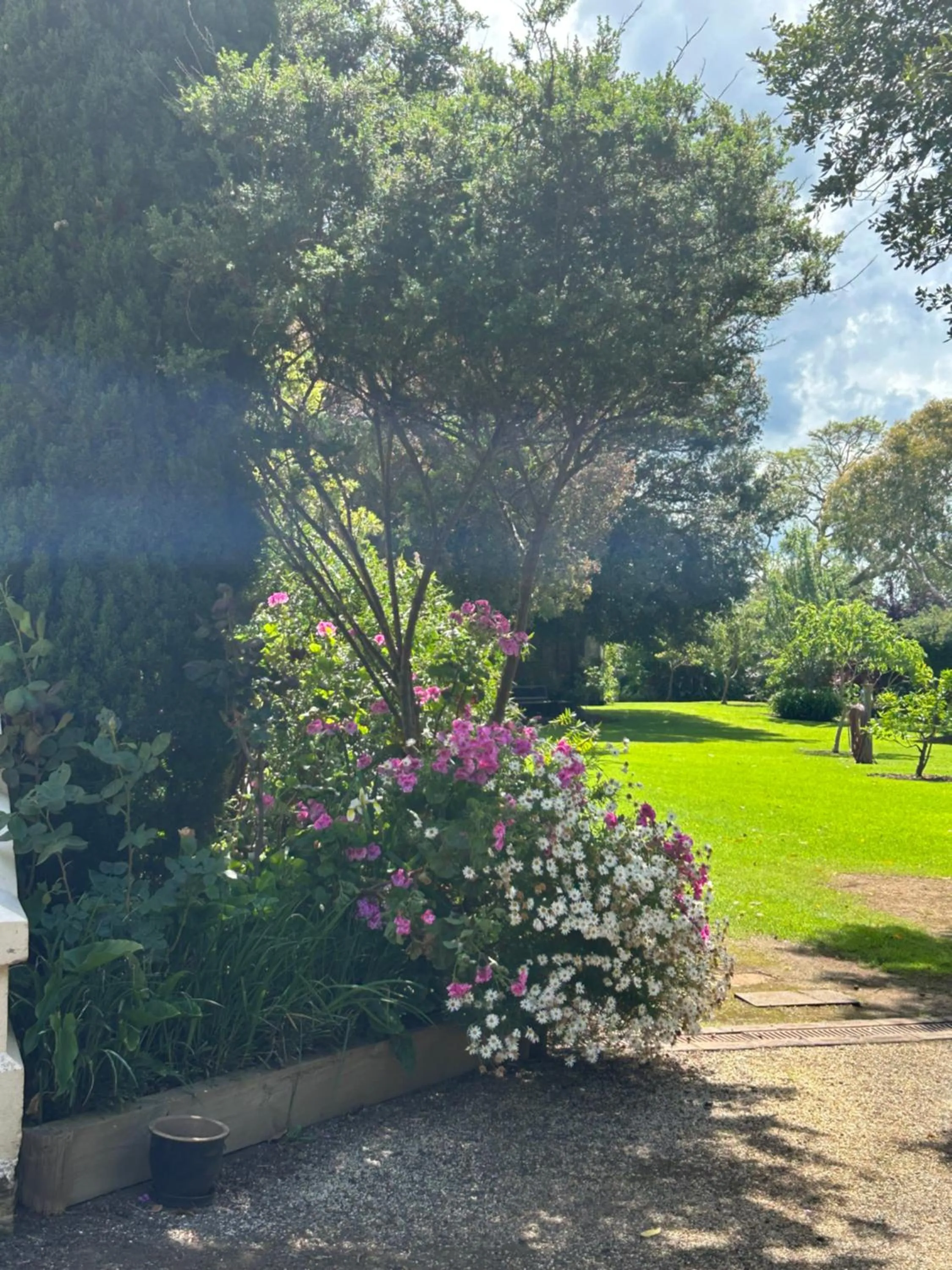 Spring in Convent at Koroit