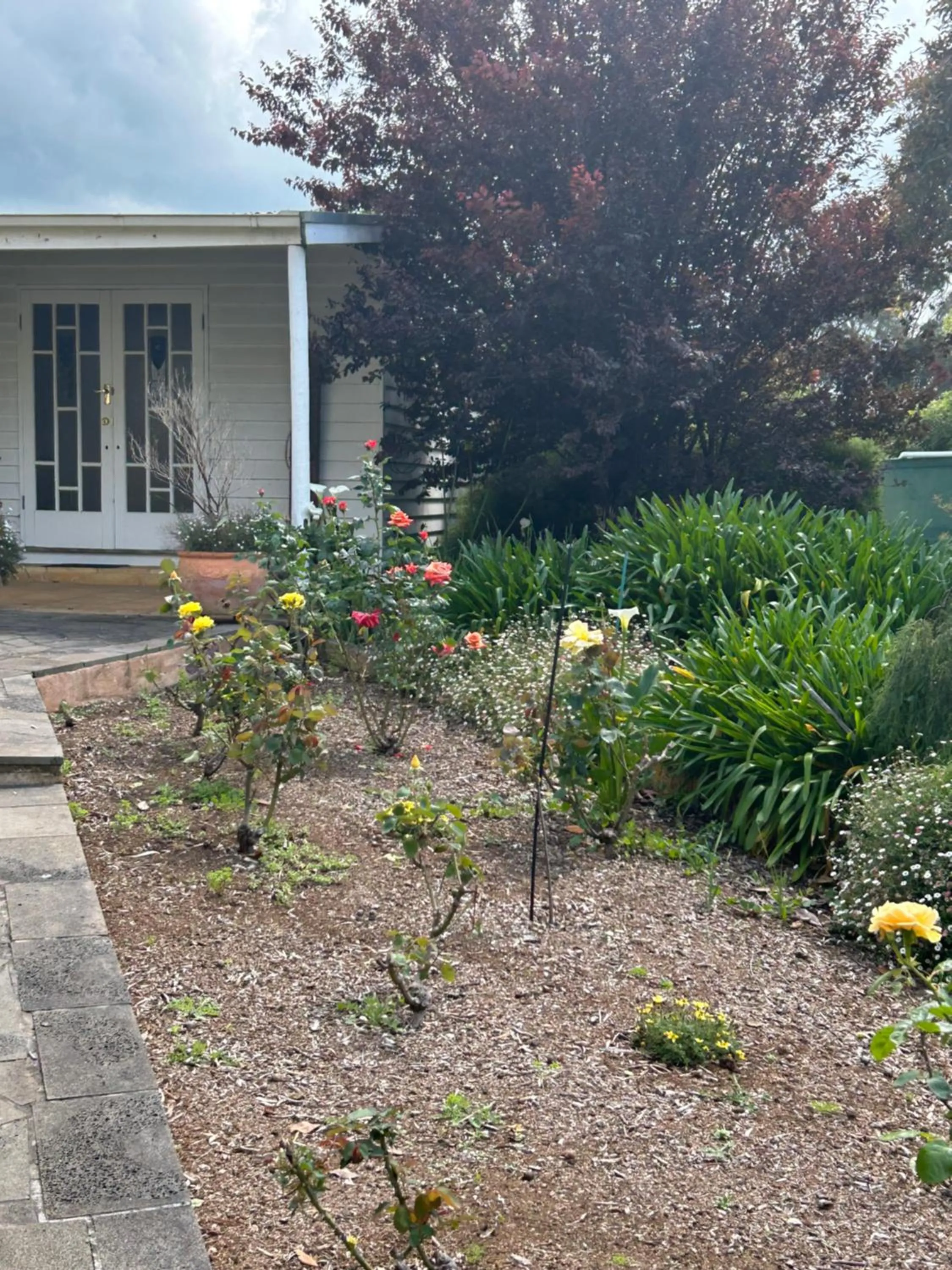 Property building in Convent at Koroit