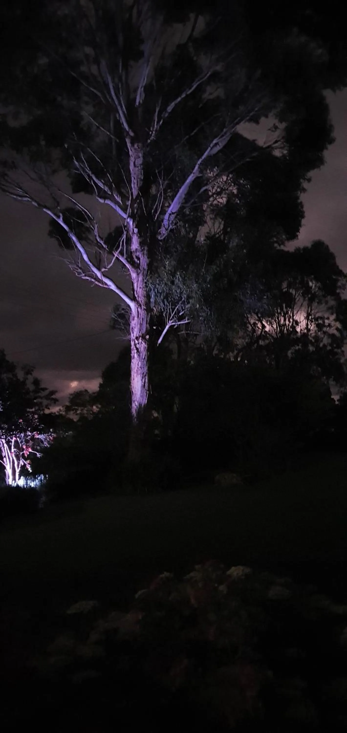 Property building in Convent at Koroit