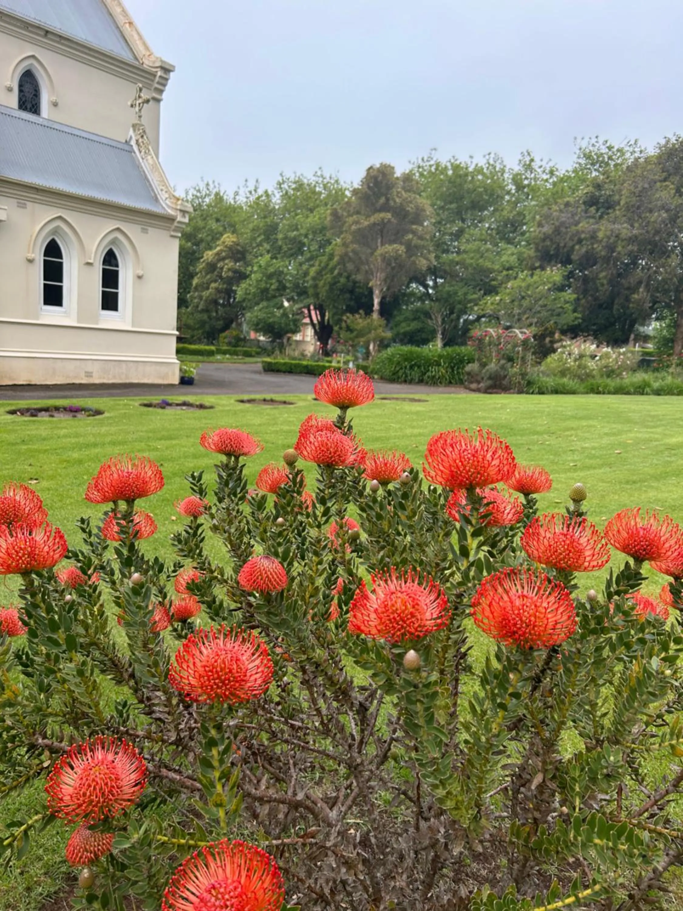 Spring in Convent at Koroit