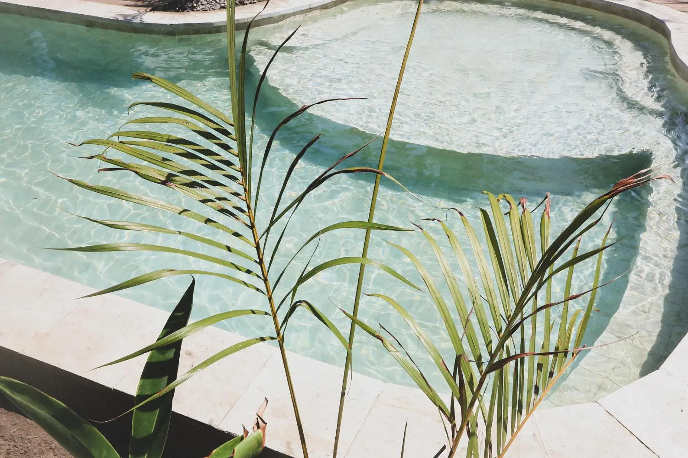 Property building in Casa Kapuas Property building in Casa Kapuas