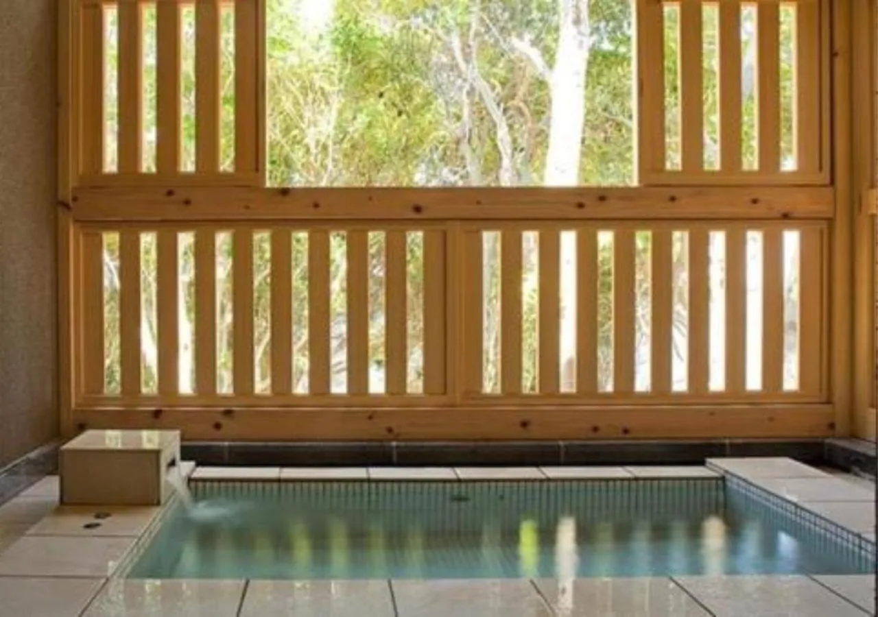 Hot Spring Bath in Oyado The Earth