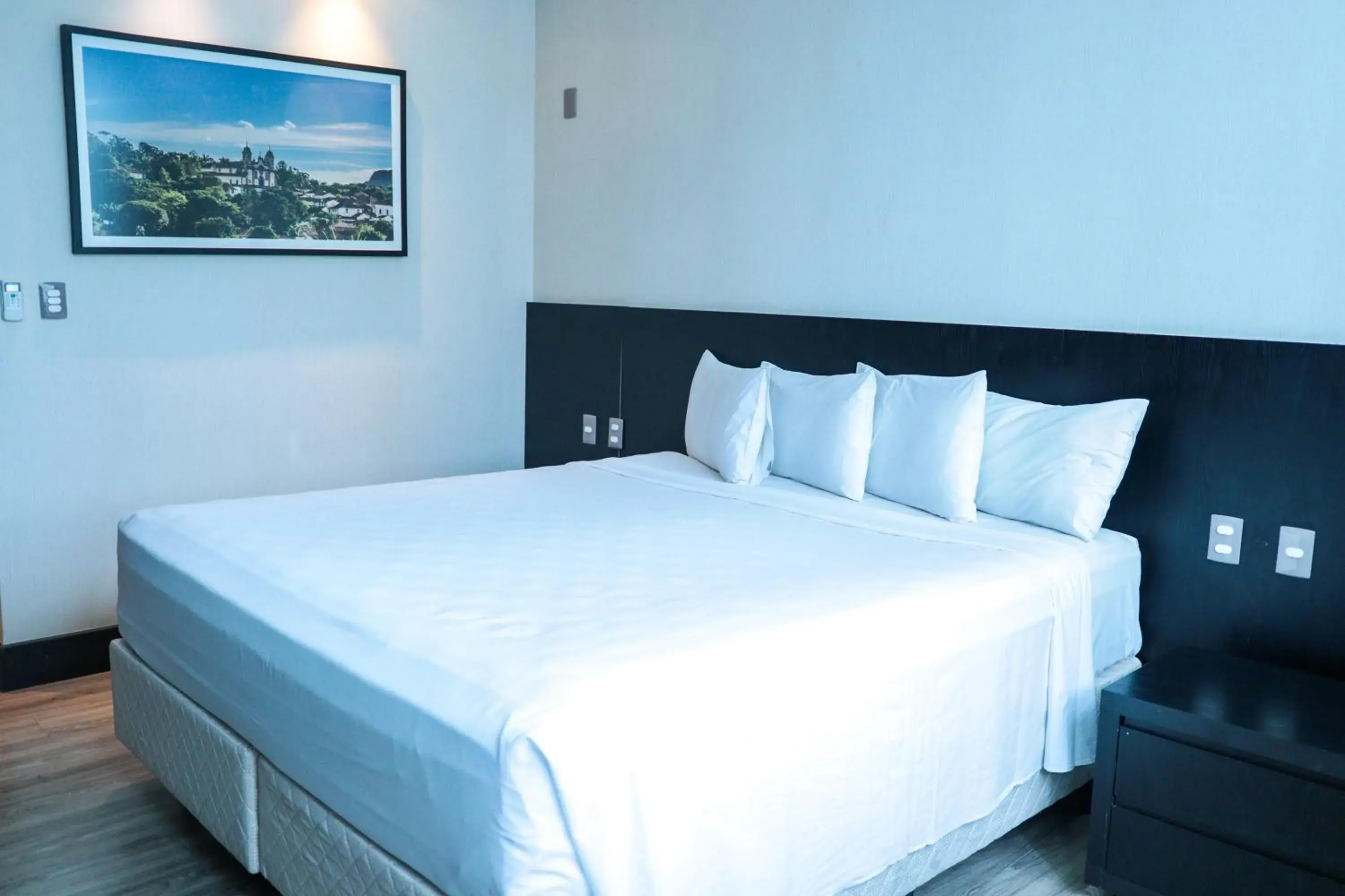 Queen Room - single occupancy - Non-Smoking in Tryp by Wyndham Belo Horizonte Savassi Queen Room - single occupancy - Non-Smoking in Tryp by Wyndham Belo Horizonte Savassi