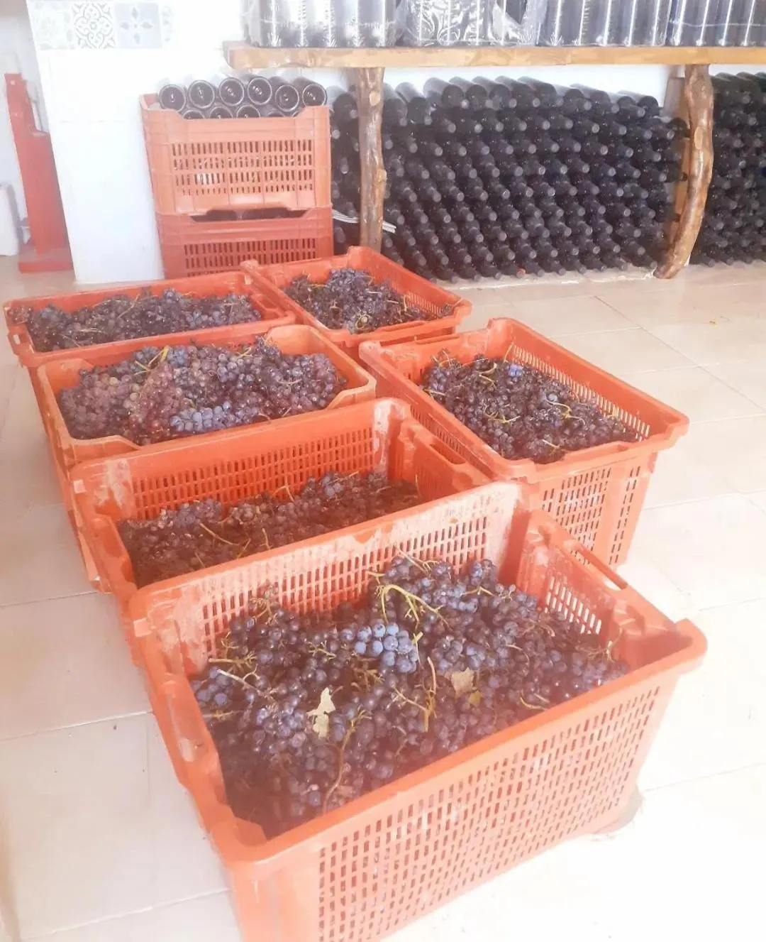 Agriturismo Fuoco D'Amalfi Villa Iazzetta