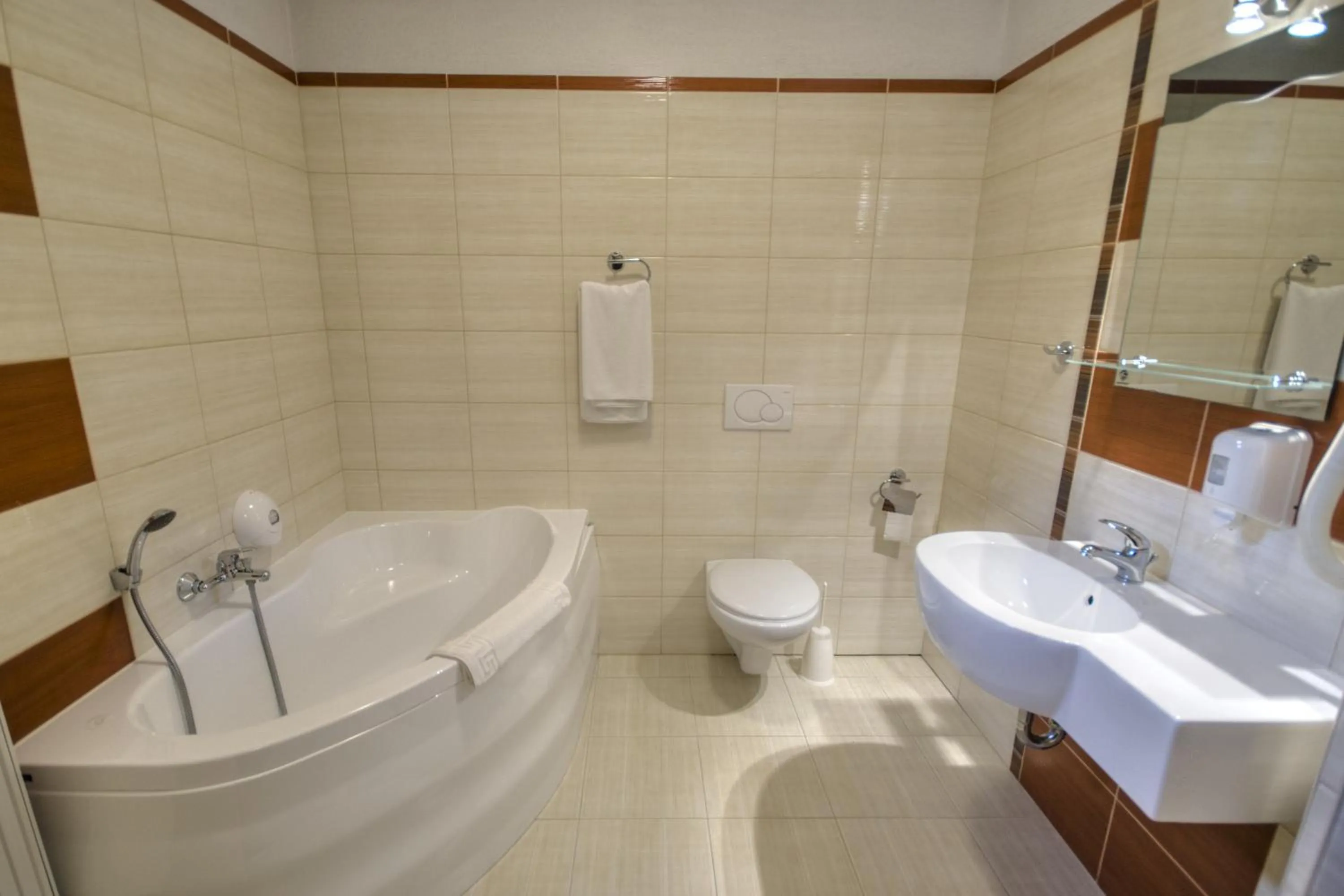 Toilet in Hotel i Restauracja Borowianka