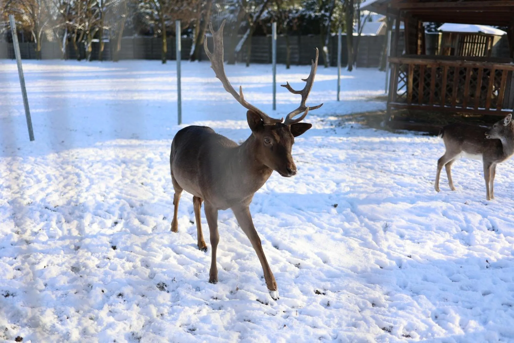 Other in Hotel i Restauracja Borowianka