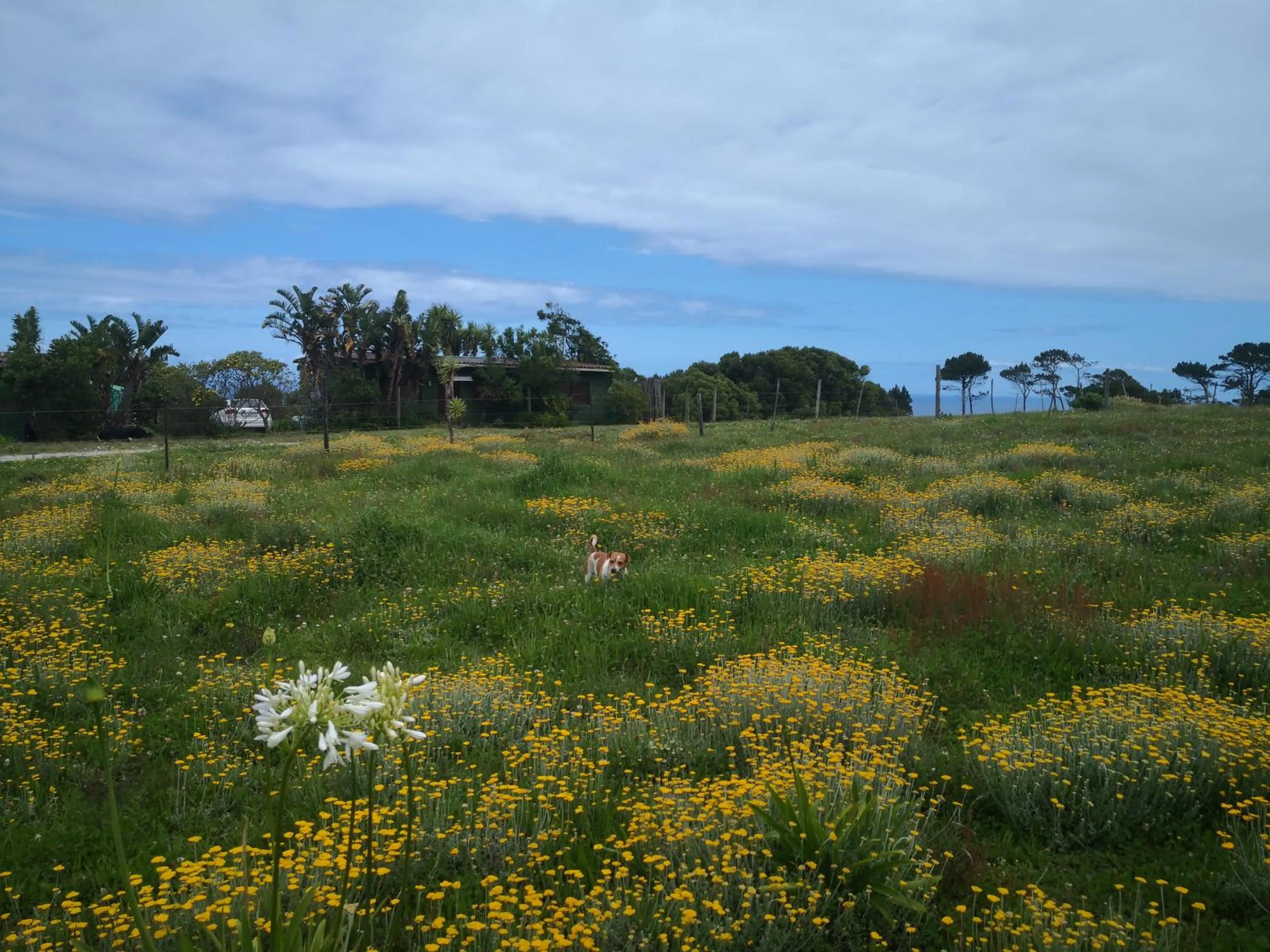 Property building in Tsitsikamma on Sea Self-catering Cottages